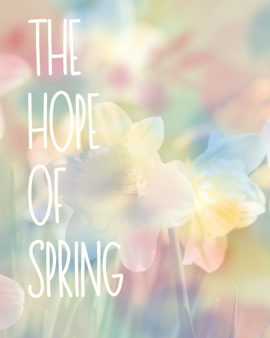 The Hope of Spring - Author Unknown

Today is the Spring Equinox! 
Spring is officially, technically here - whether we feel it or not, whether we see it or not, whether we believe it or not.
Let us lean into the hope of spring and begin again.

#theh