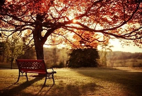 bench.jpg