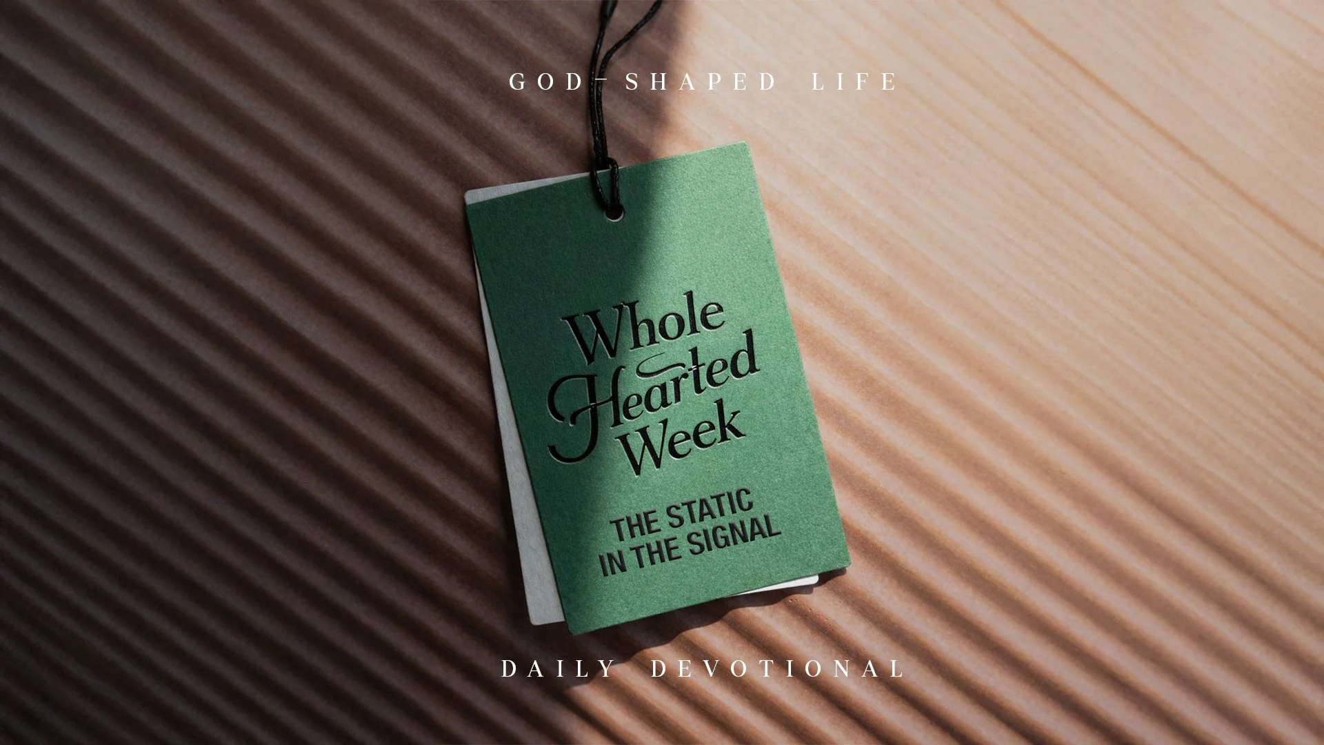 Whole Hearted Week: The Static in the Signal