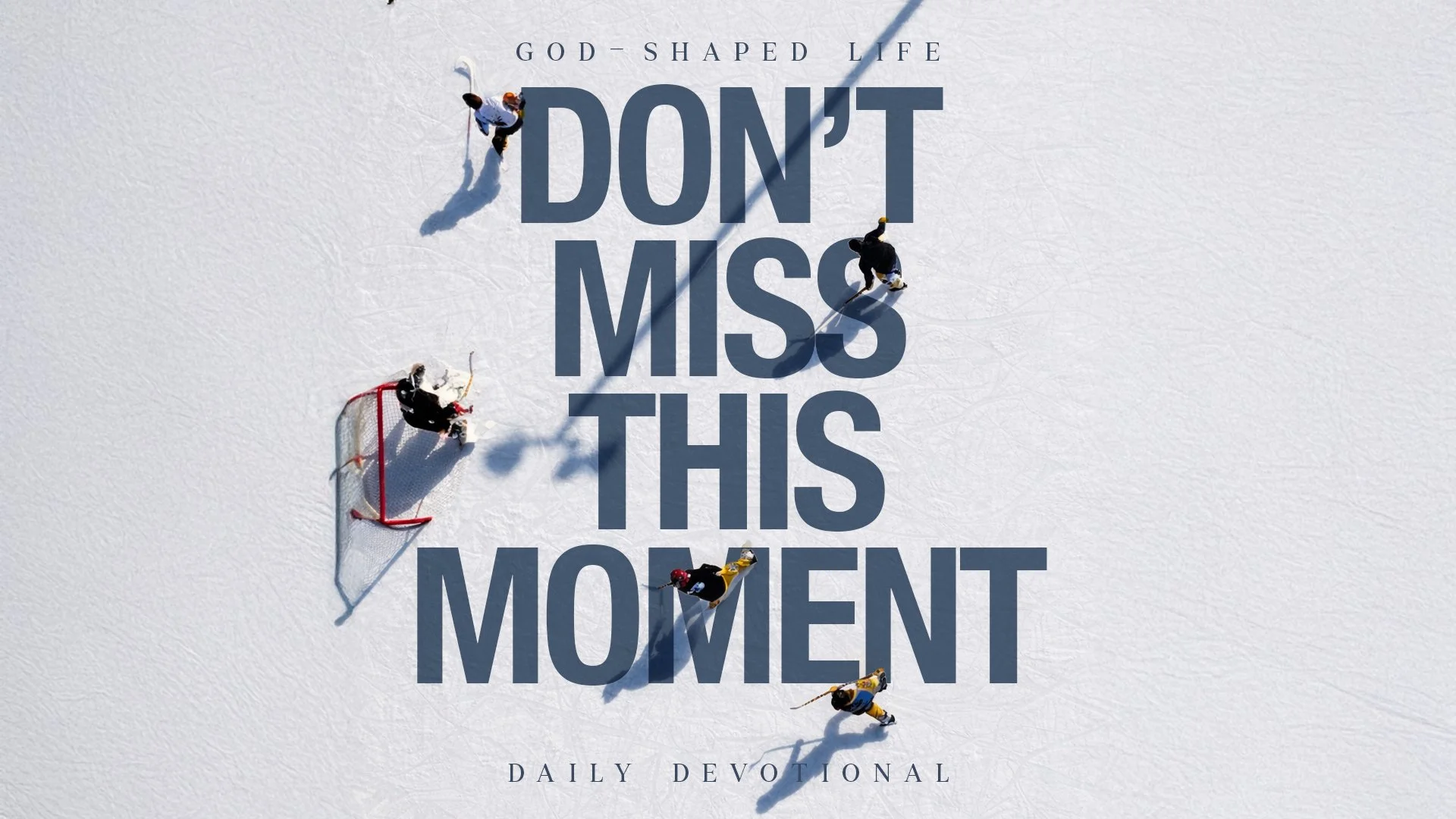 Don’t Miss This Moment