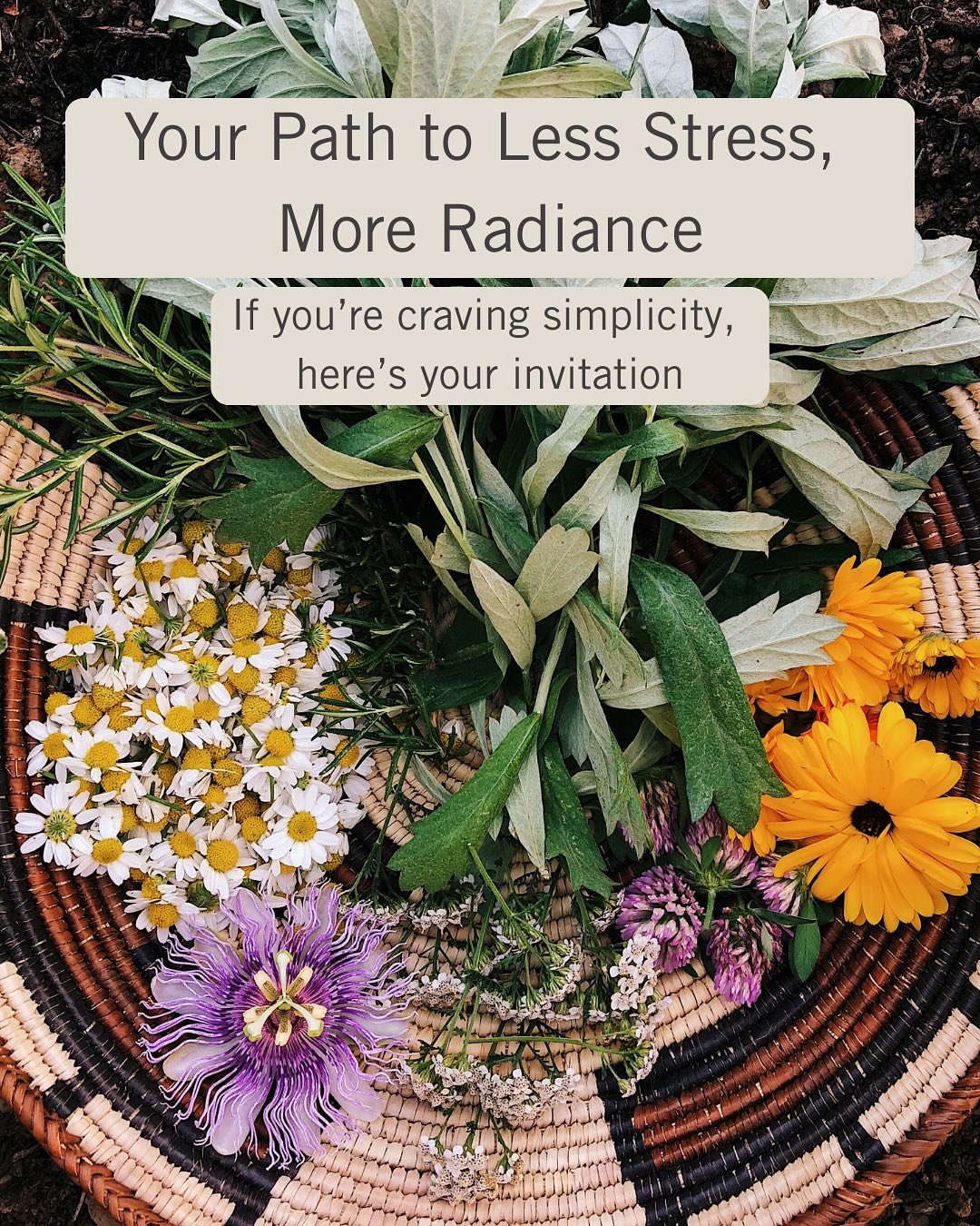 What does your skin need? 
.
Follow these steps for a path of Less Stress, More Radiance! 
.
☀️🌥️🌨️❄️ Follow the seasons.

🧴Use fewer, better products.

💦 Don&rsquo;t wash your face in the morning&mdash;just mist with toner, apply serum or balm, 