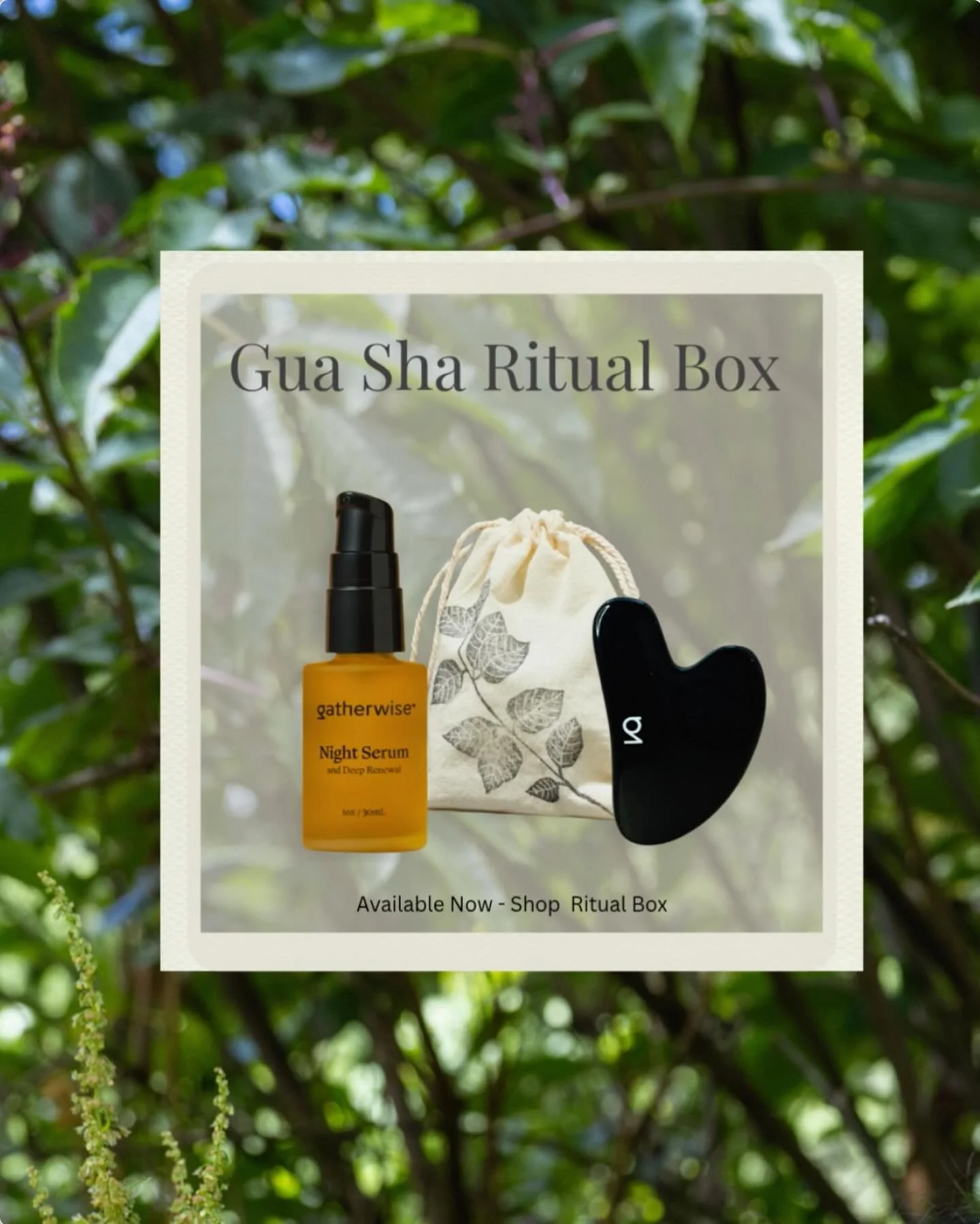 This holiday season, give a ritual loved by fans for its transformative, restorative power.
. 
The Gua Sha Ritual Box is a curated gift that provides deeply hydrating Night Serum with a custom Gua Sha Onyx Stone, beautifully boxed with a tutorial car