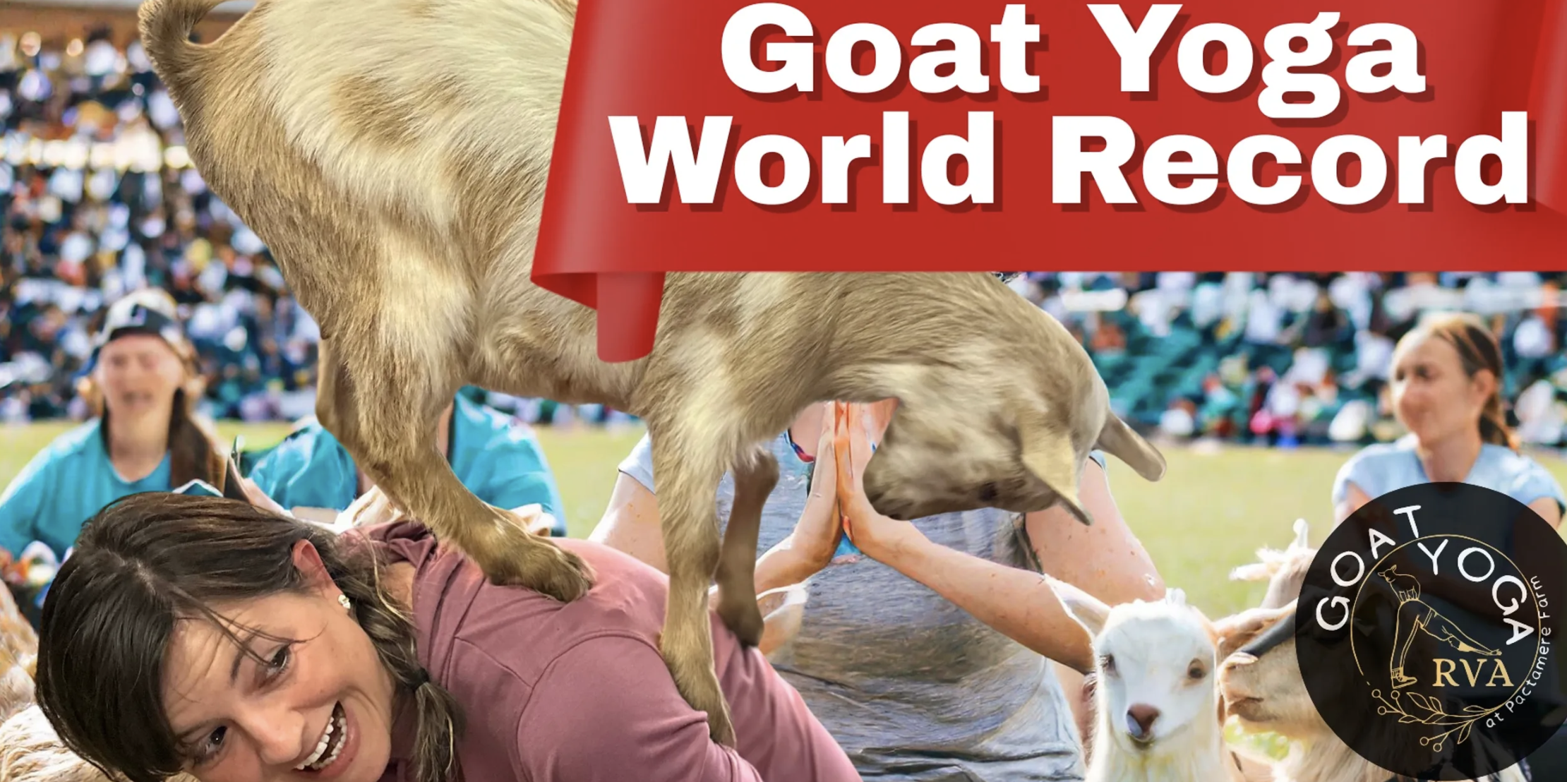 Goat Yoga World Record with Pactamere Farms