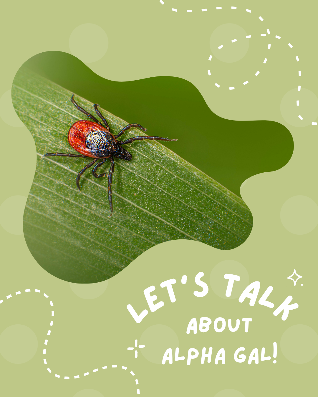 What Is Alpha-Gal Syndrome — And How Everyday Products Can Support Your Routine