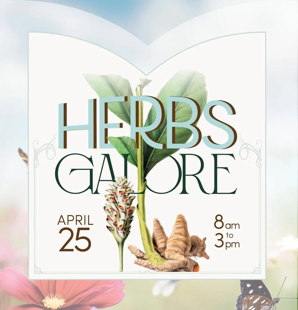 Herbs Galore