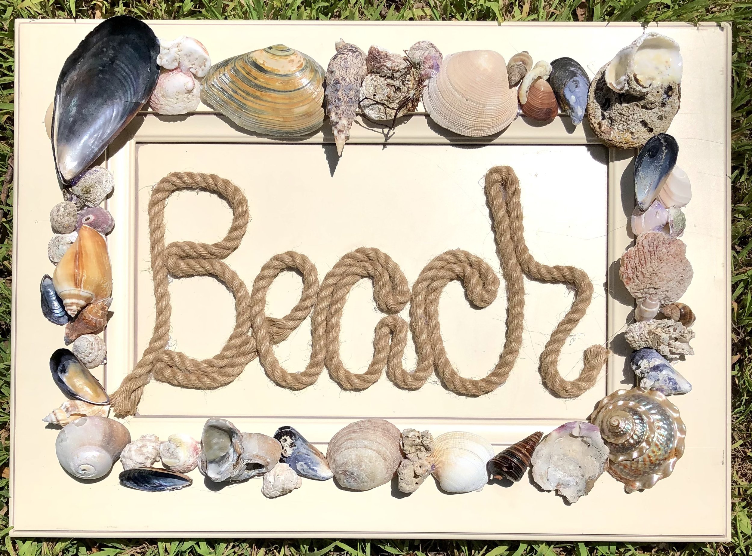 Beachy Driftwood & Seashell Decor