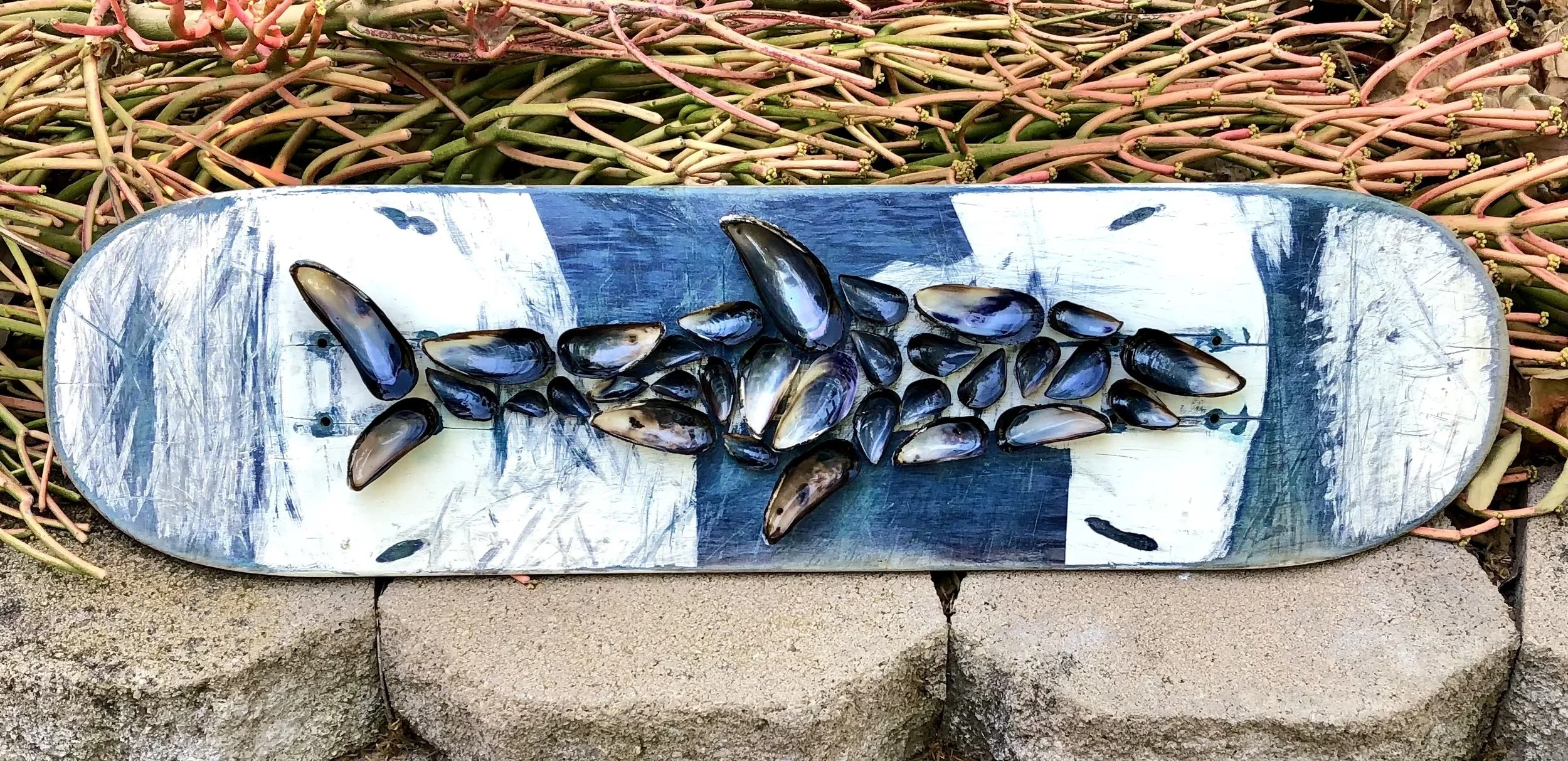 Sk8-FullSizeRender 2.jpg