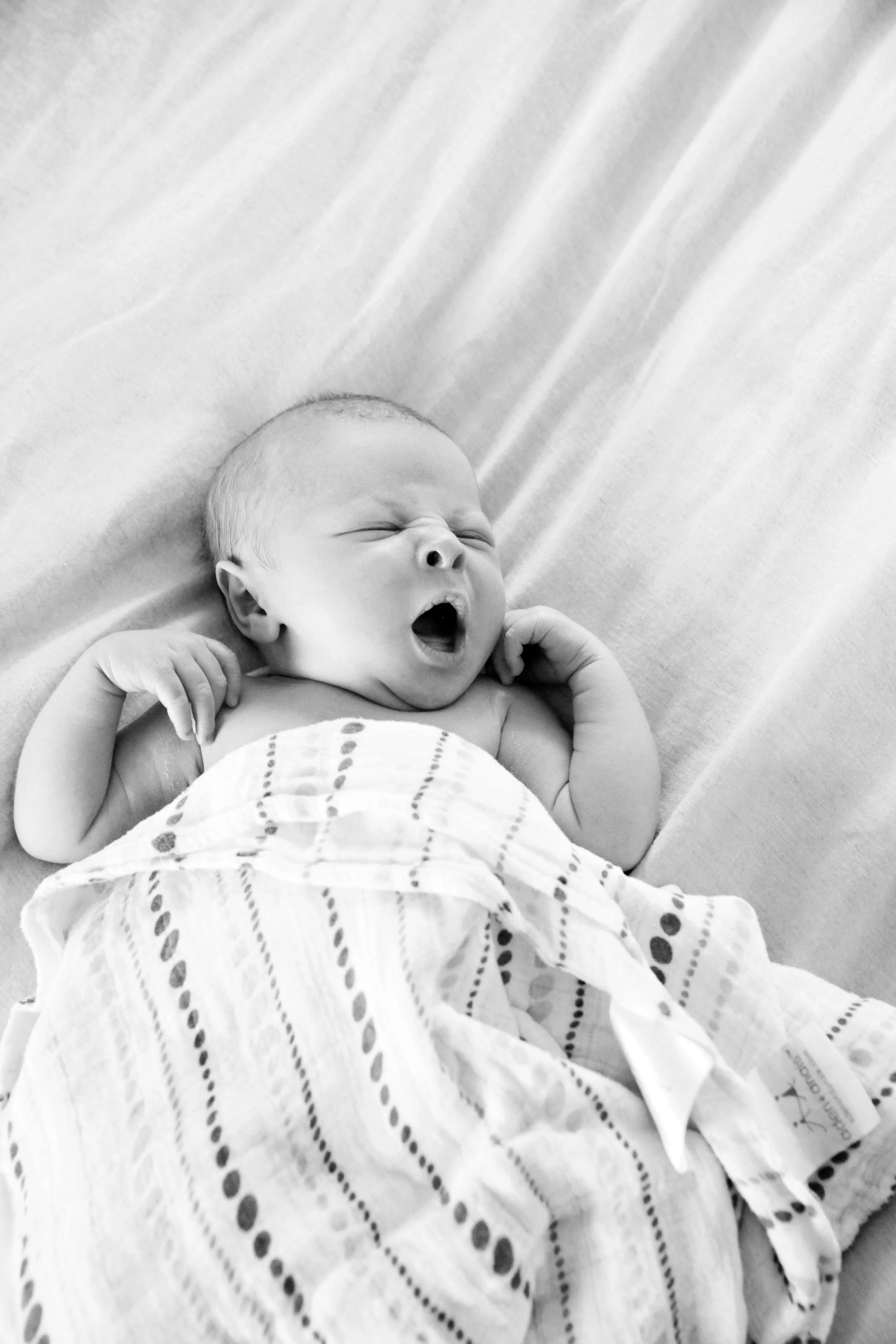 Clive Family29b&w.jpg