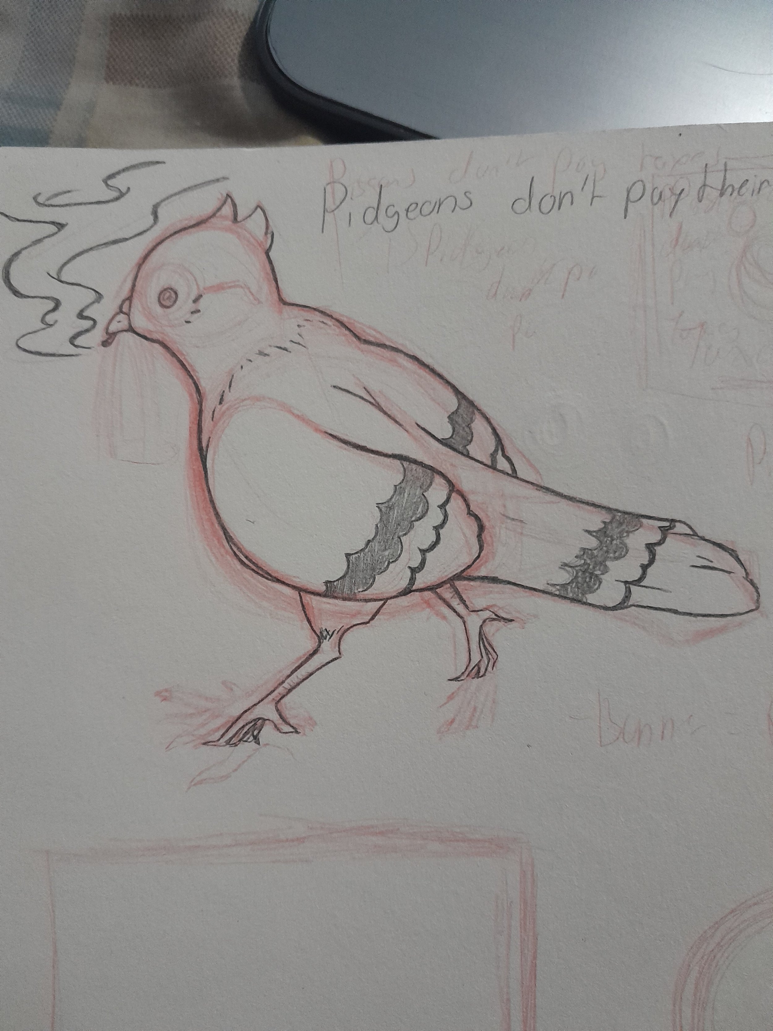Pigeons don't pay their taxes