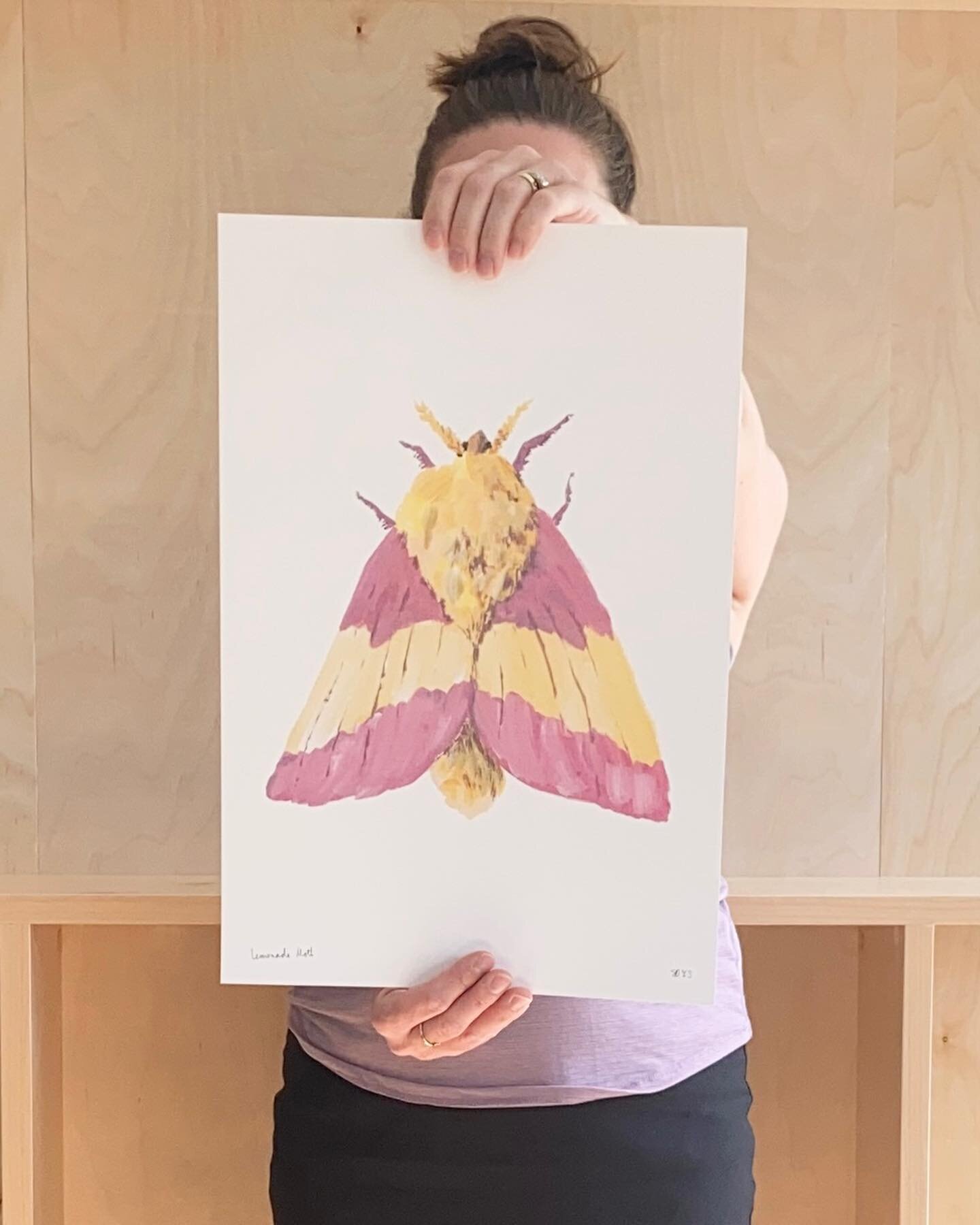 LOTS of new prints coming! All of these fun pieces will be available in three sizes on my website next week. This collection has been a celebration of our first year back in Minnesota. All of the flowers and insects are inspired by things we found he