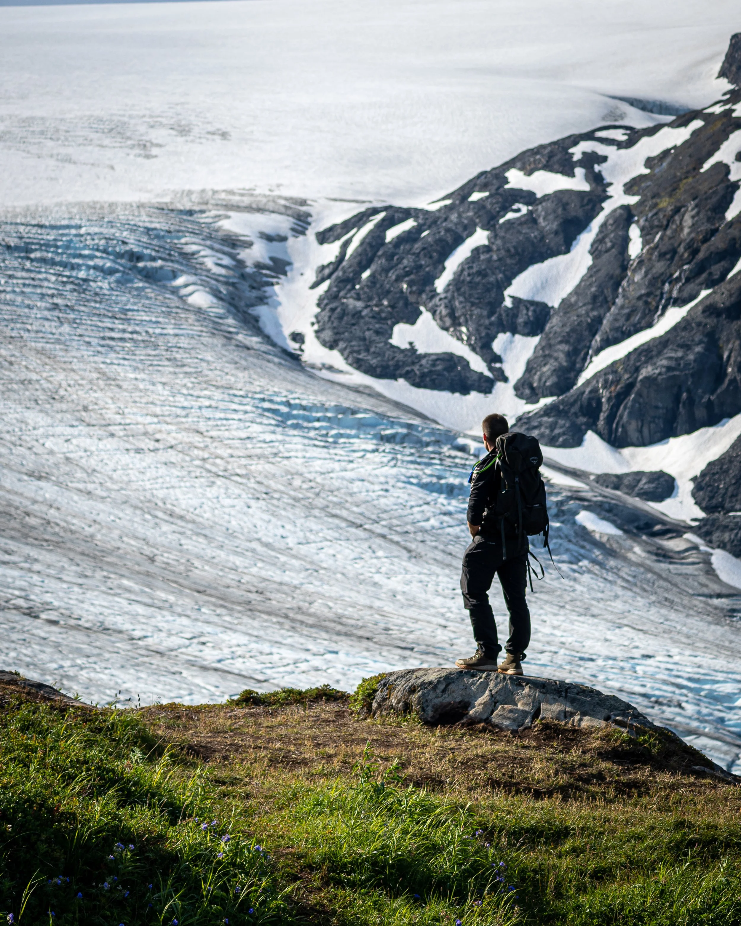 Harding Icefield, Alaska 