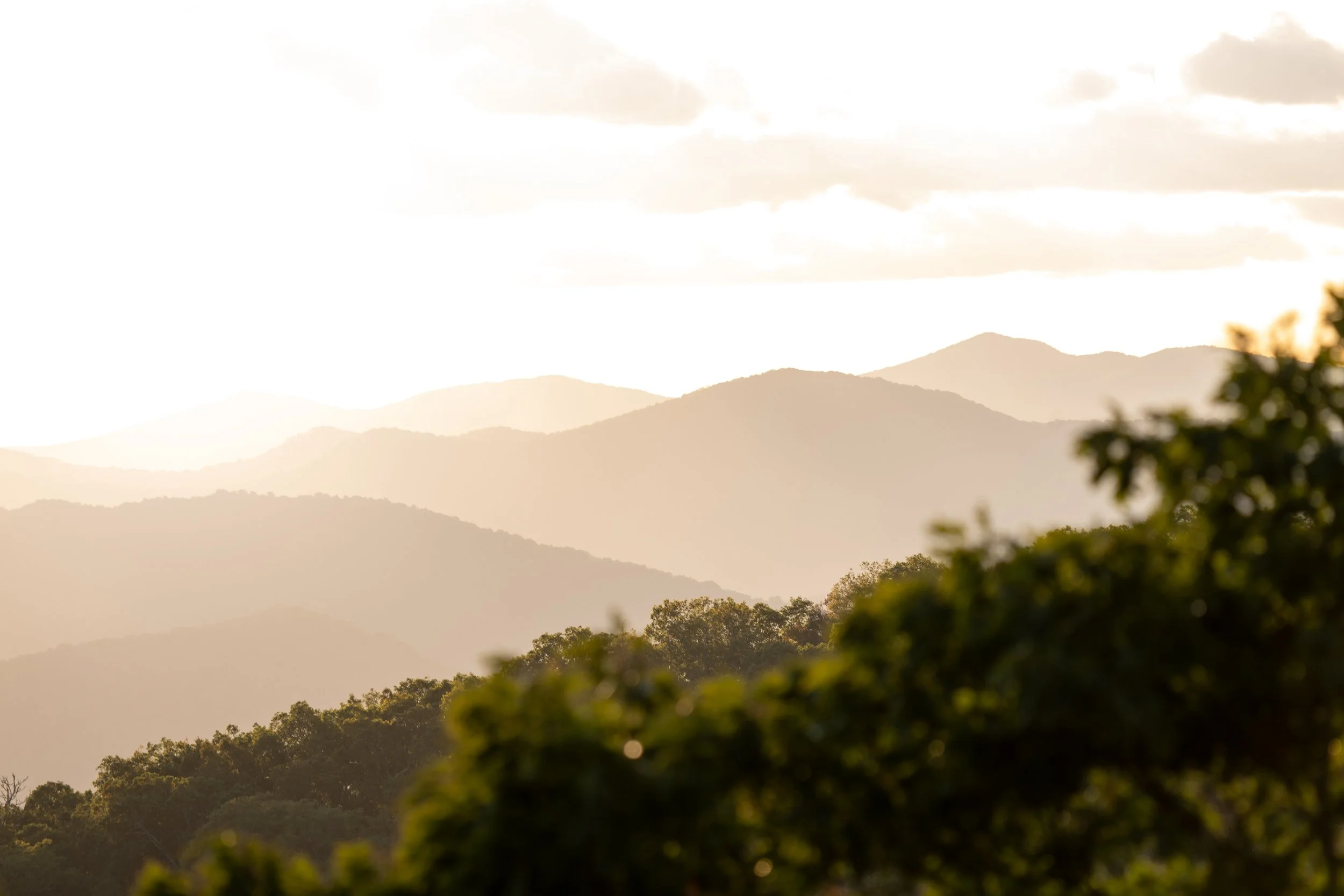Great Smoky Mountains, North Carolina 