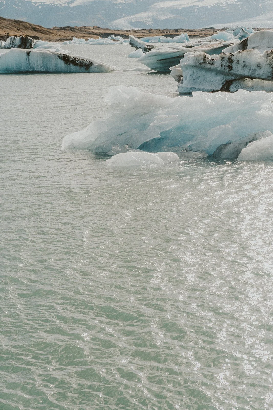 Icebergs floating in a body of water near a shoreline with snow-capped mountains in the background.