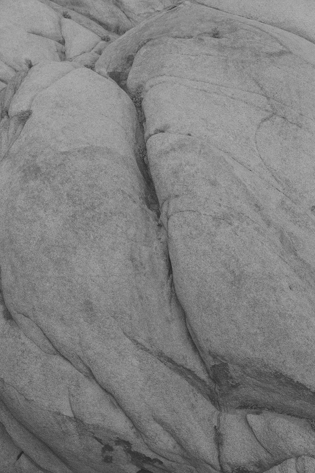 Close-up of large, smooth, light-colored rocks with visible cracks and striations.