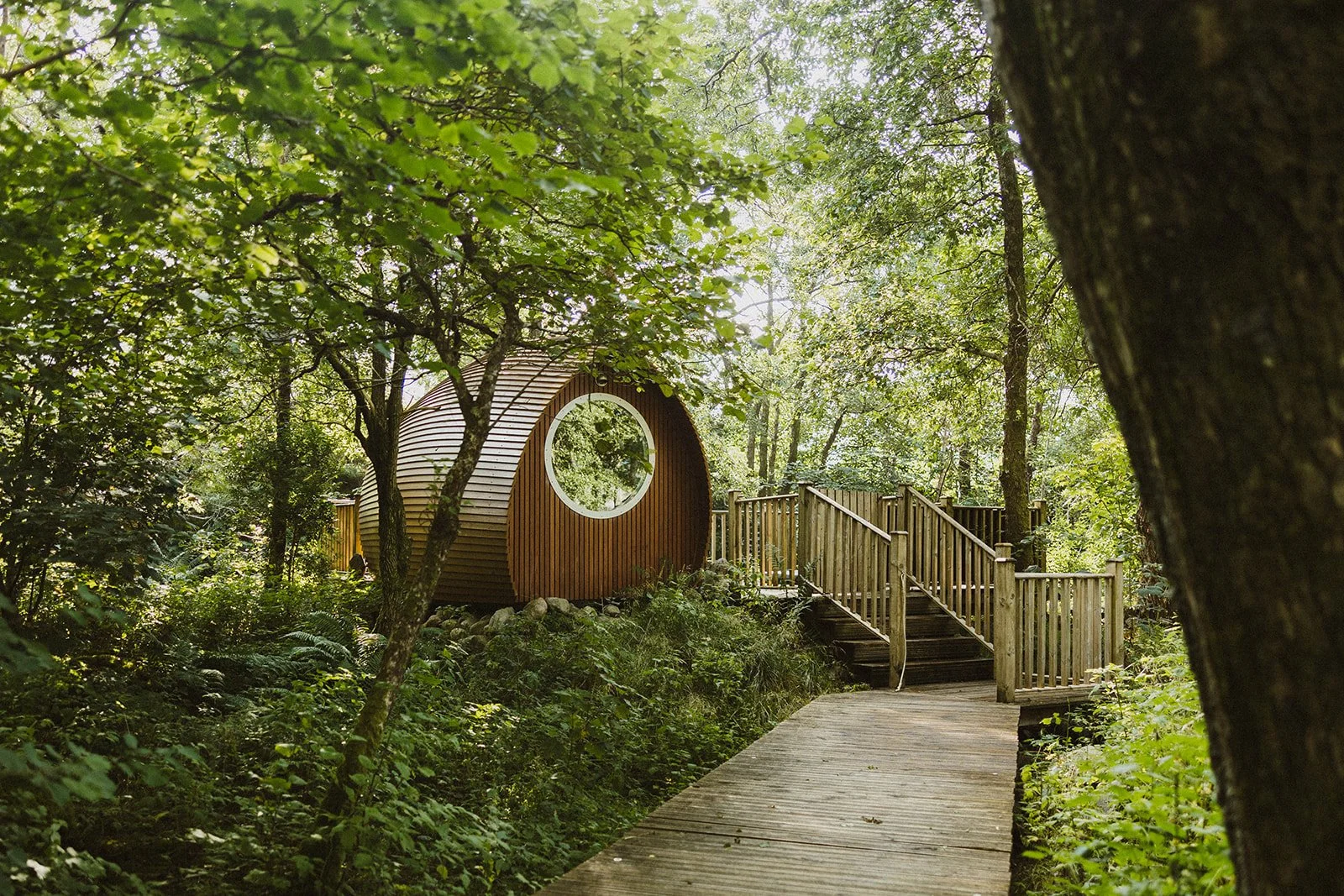 A wooden trail leading to a round wooden cabin with a circular window, surrounded by lush green trees and foliage in a forest.