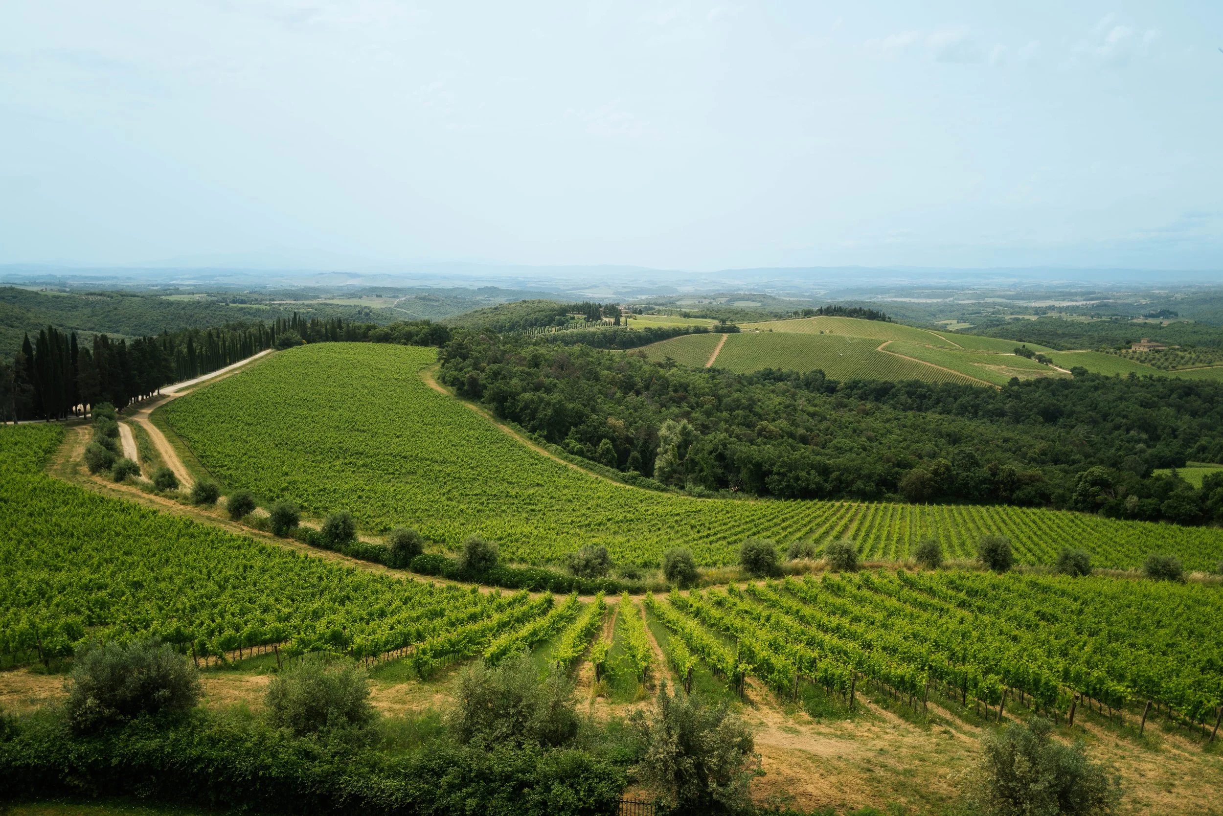 “Good Wine Is Not A Beverage”, Ricasoli: Discover this Tuscan Winery at Lucciola NYC