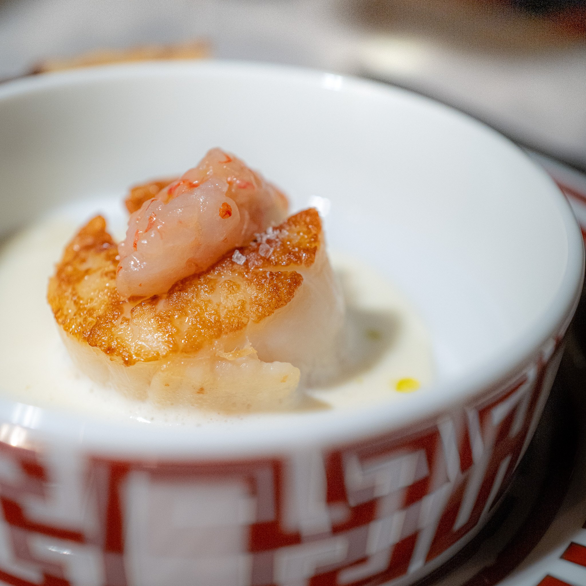 Close-up of a scallop with pink shrimps and parmigiano reggiano