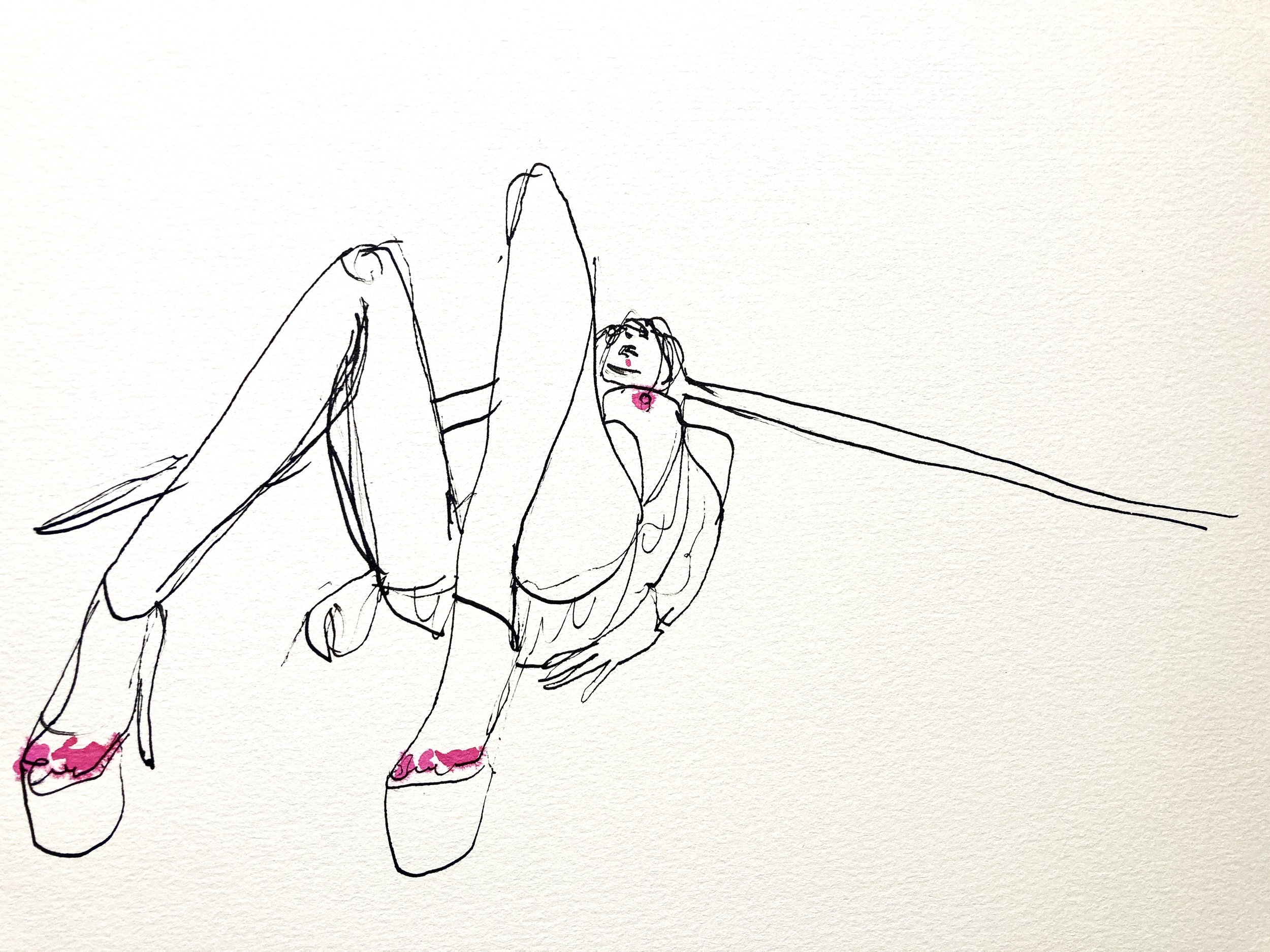 Jay X sporting pleasers