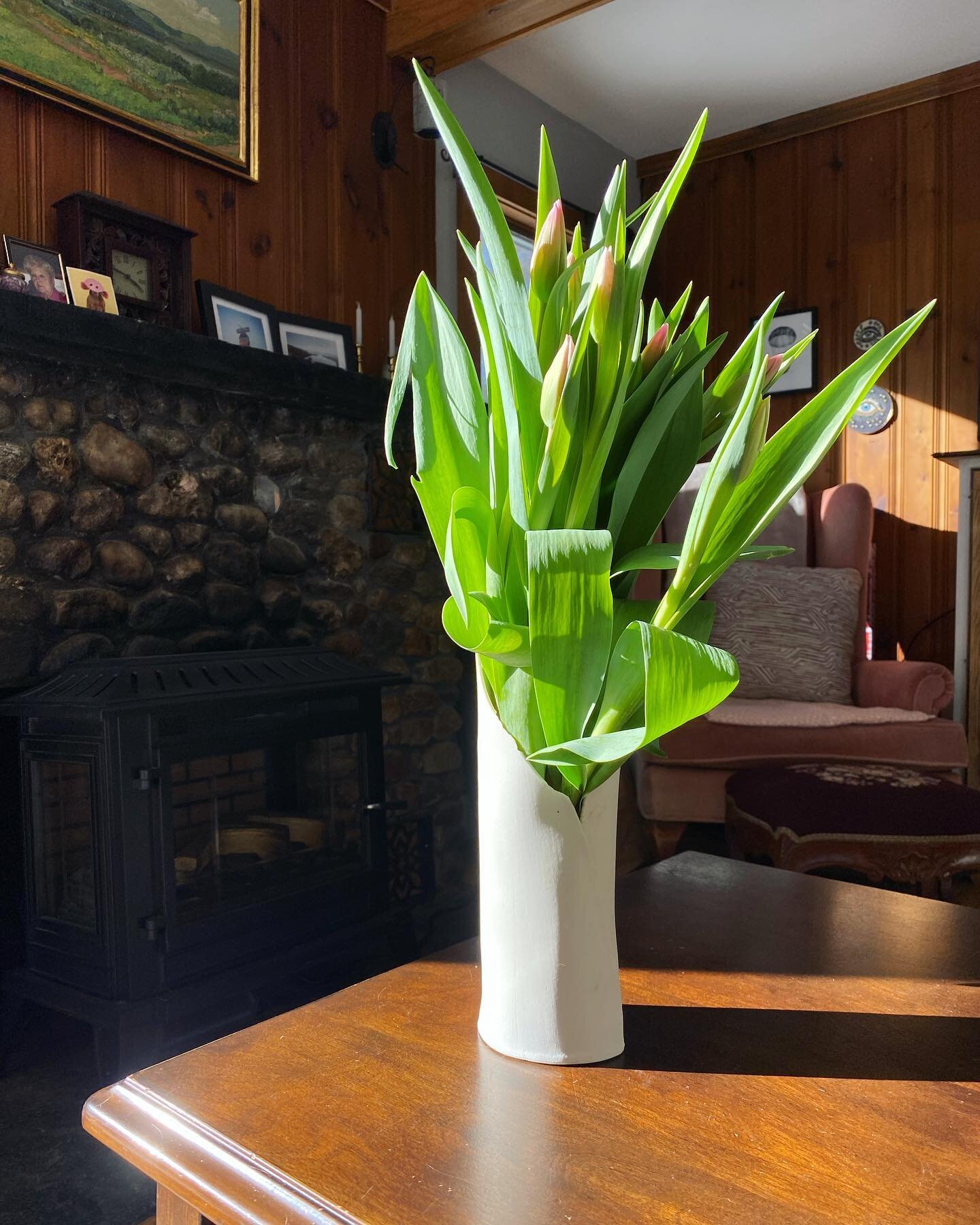 A little bit of spring after the coldest day. I always love the way flowers sit in the vase. Tulips from @sweetbeetnh 
#flowers #tulips #ceramicart #handmade #newhampshireartist