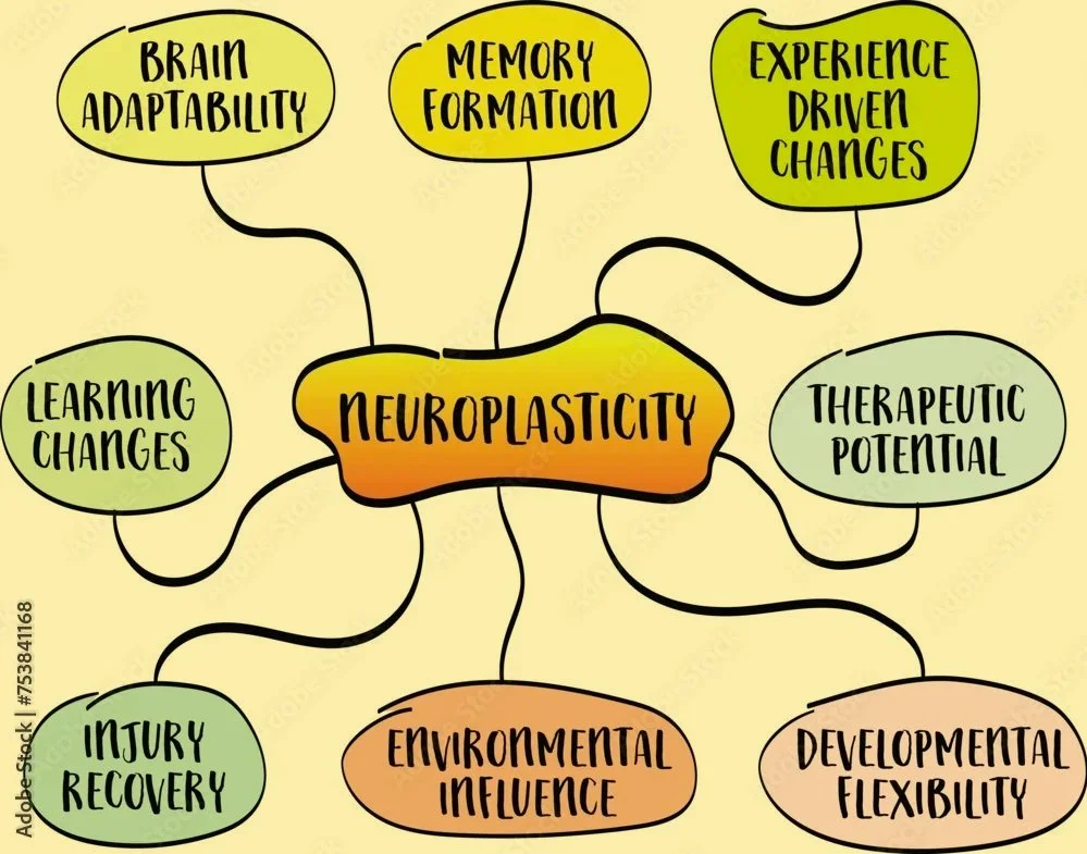 Unlock Your Brain's Potential