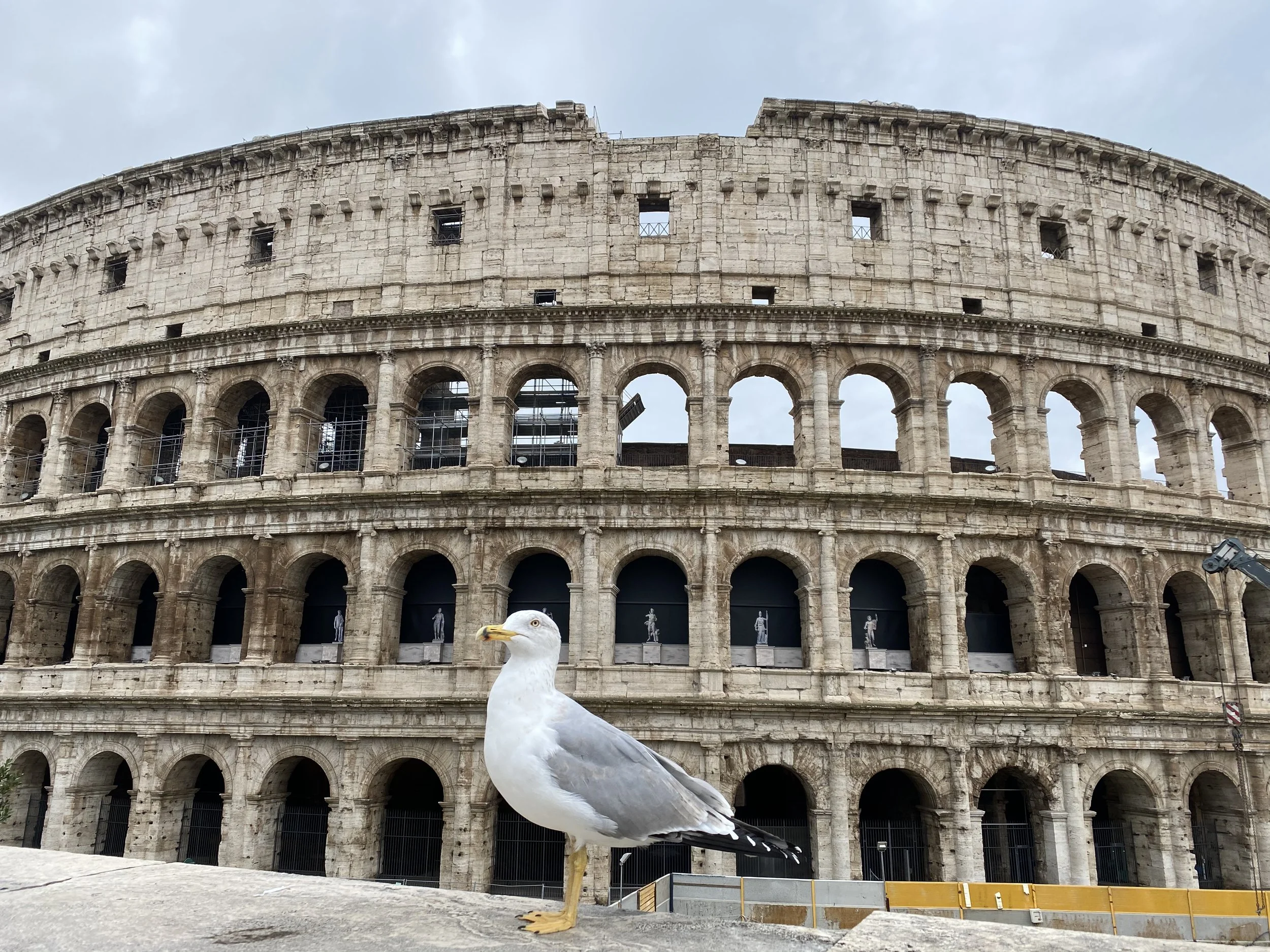 Why the Colosseum Still Matters: History, Identity, and Travel in Modern Italy