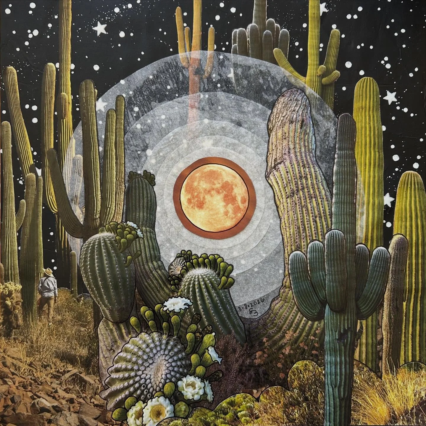 Growing up in Tucson really makes you appreciate these amazing beings in all their glory. &ldquo;VISITING THE ELDERS&rdquo; 12x12 hand cut #almostdailycollage made with magazine clippings, tracing paper, vintage glow in the dark wall paper &amp; ink.