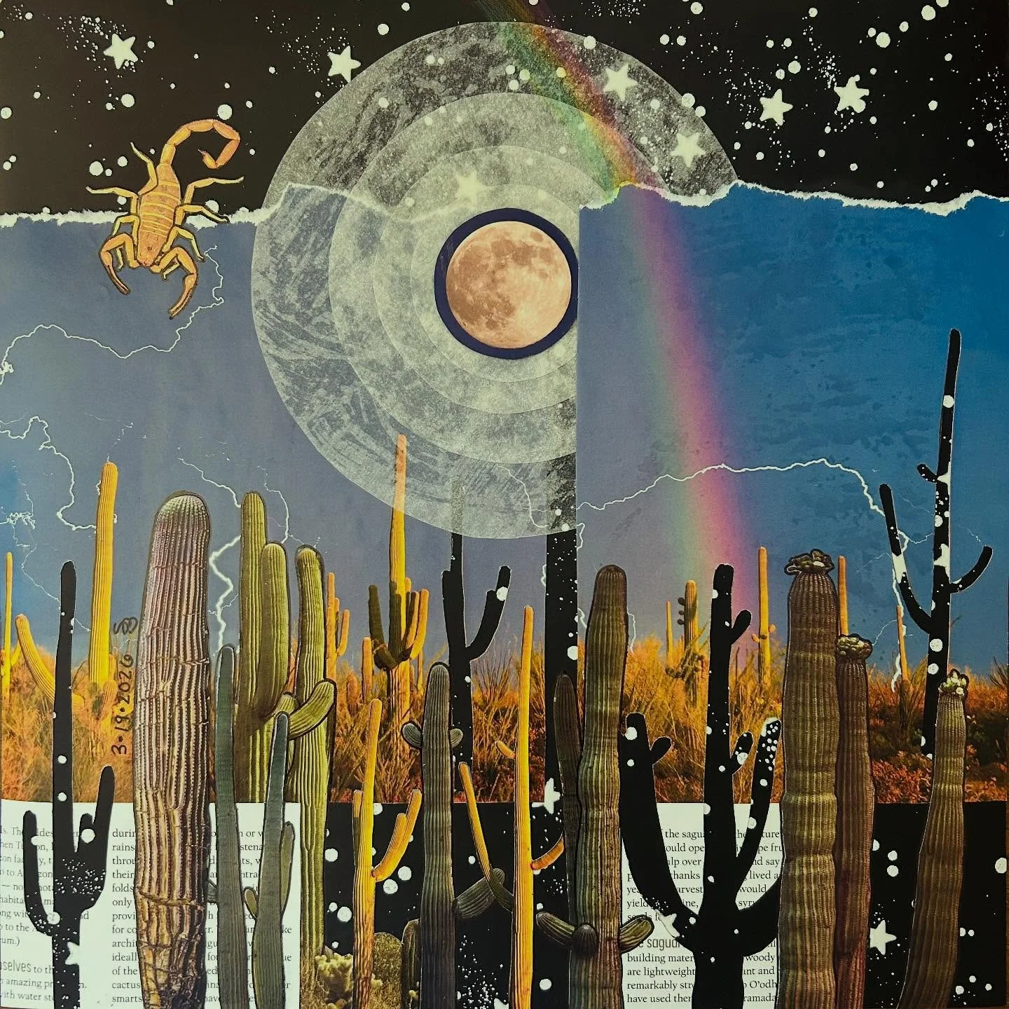 I finally made that last saguaro collage I was talking about. I usually try to assemble found imagery in a way that disguises the fact that it&rsquo;s collage/mixed media. This time I decided to lean into the medium a little bit more, showing the tex