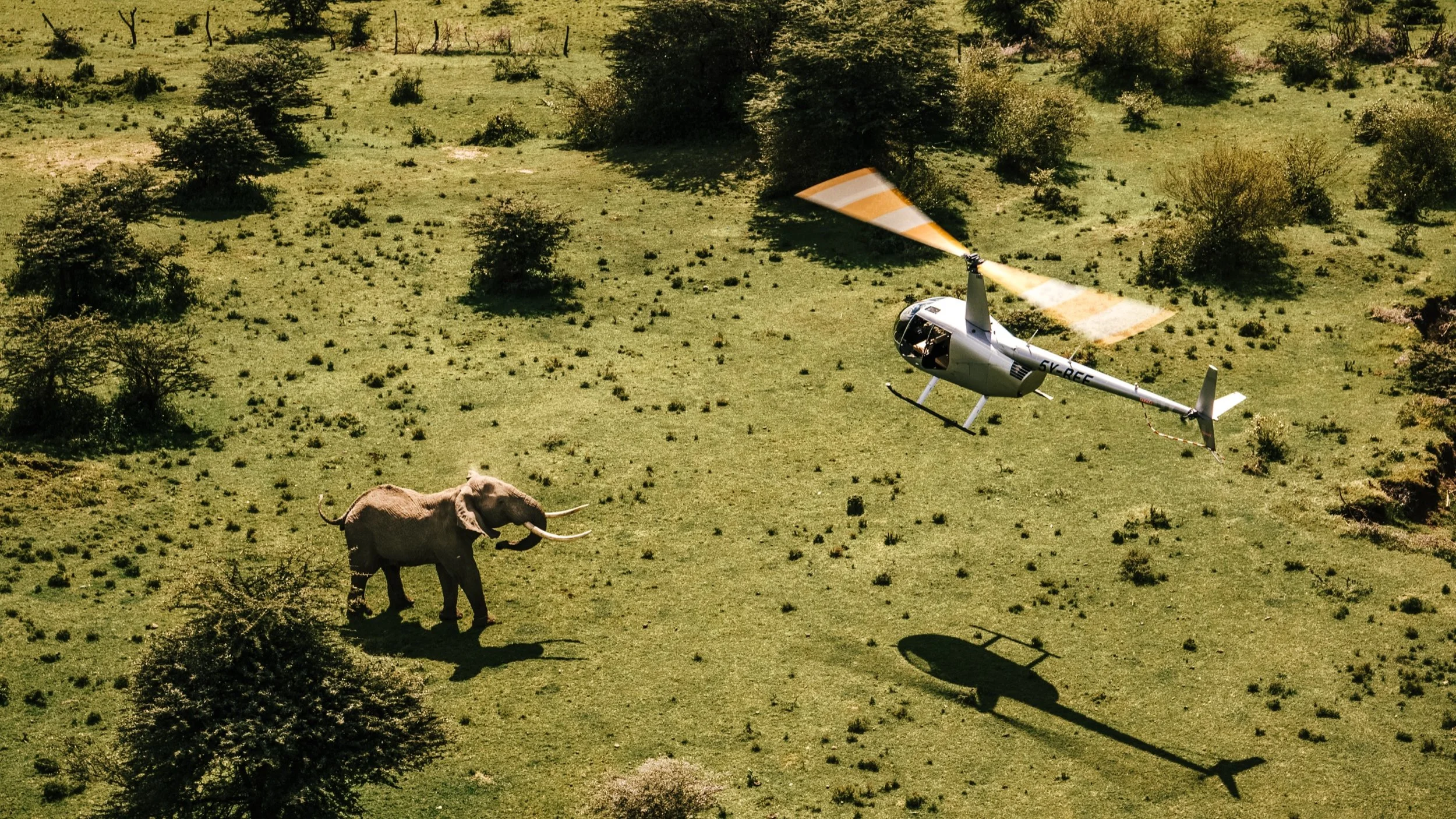 mara_06_marc_heli_ceo-3_2.jpg