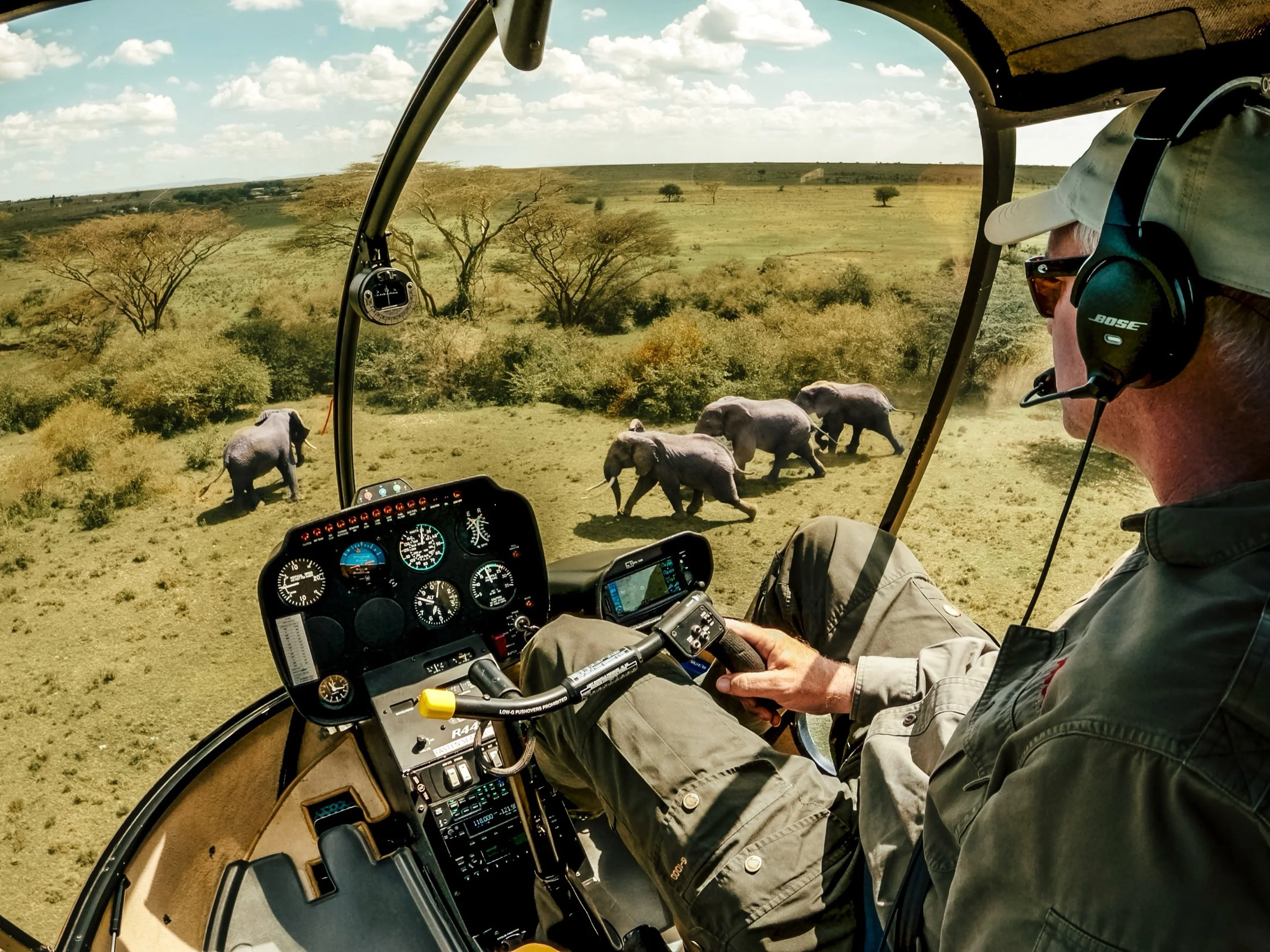 Inside a helicopter cockpit with a pilot wearing a cap and glasses, flying over an African savanna with elephants walking below and scattered trees in the background.