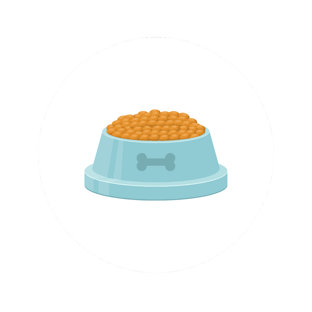 Atlantic Pet Sitting