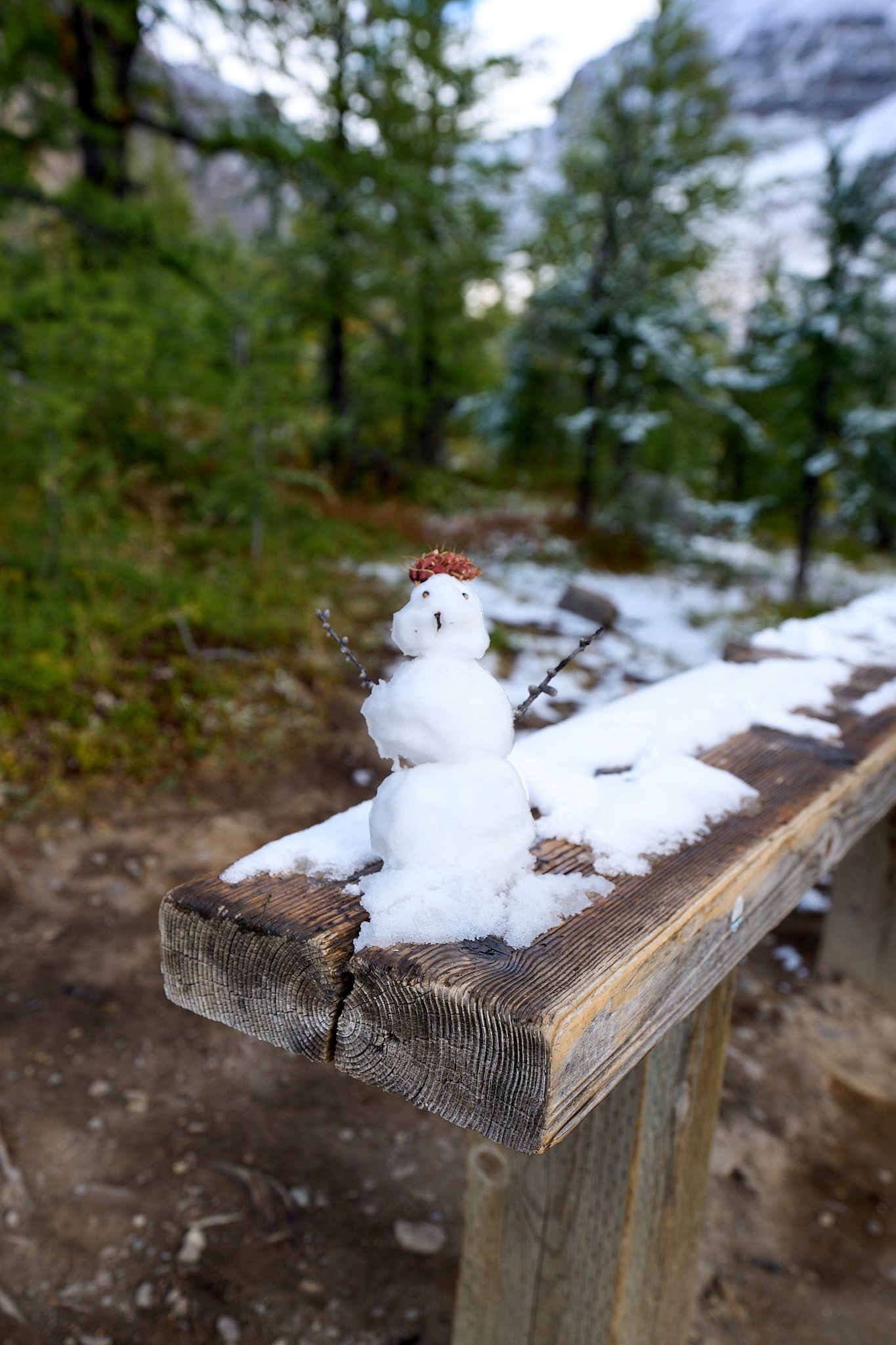 Tiny snowman on the trail