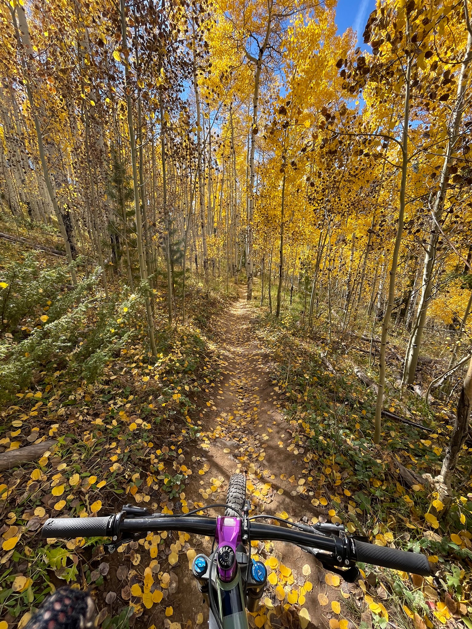 biking through golden tunnels
