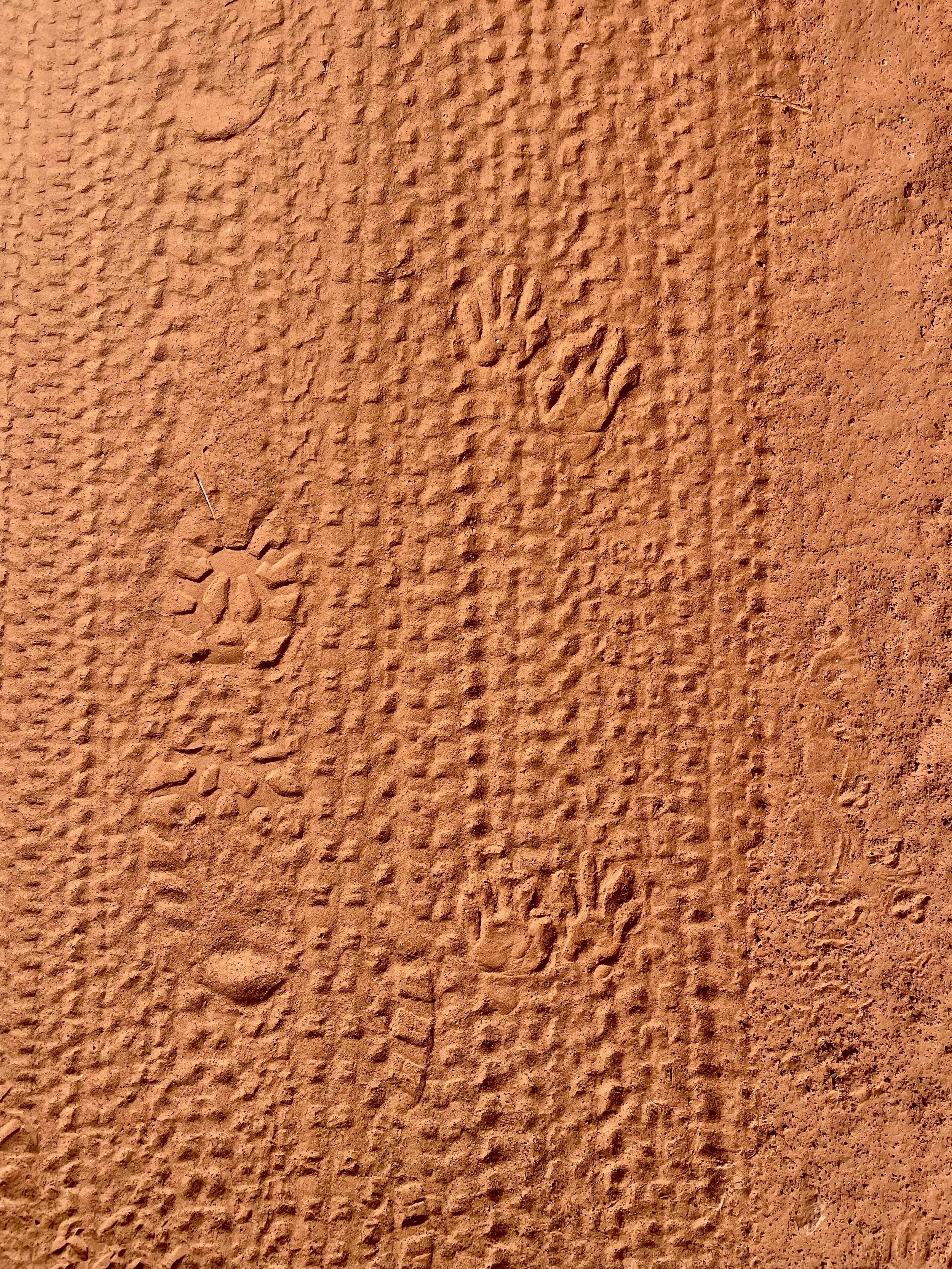 footprints 🐾🥾