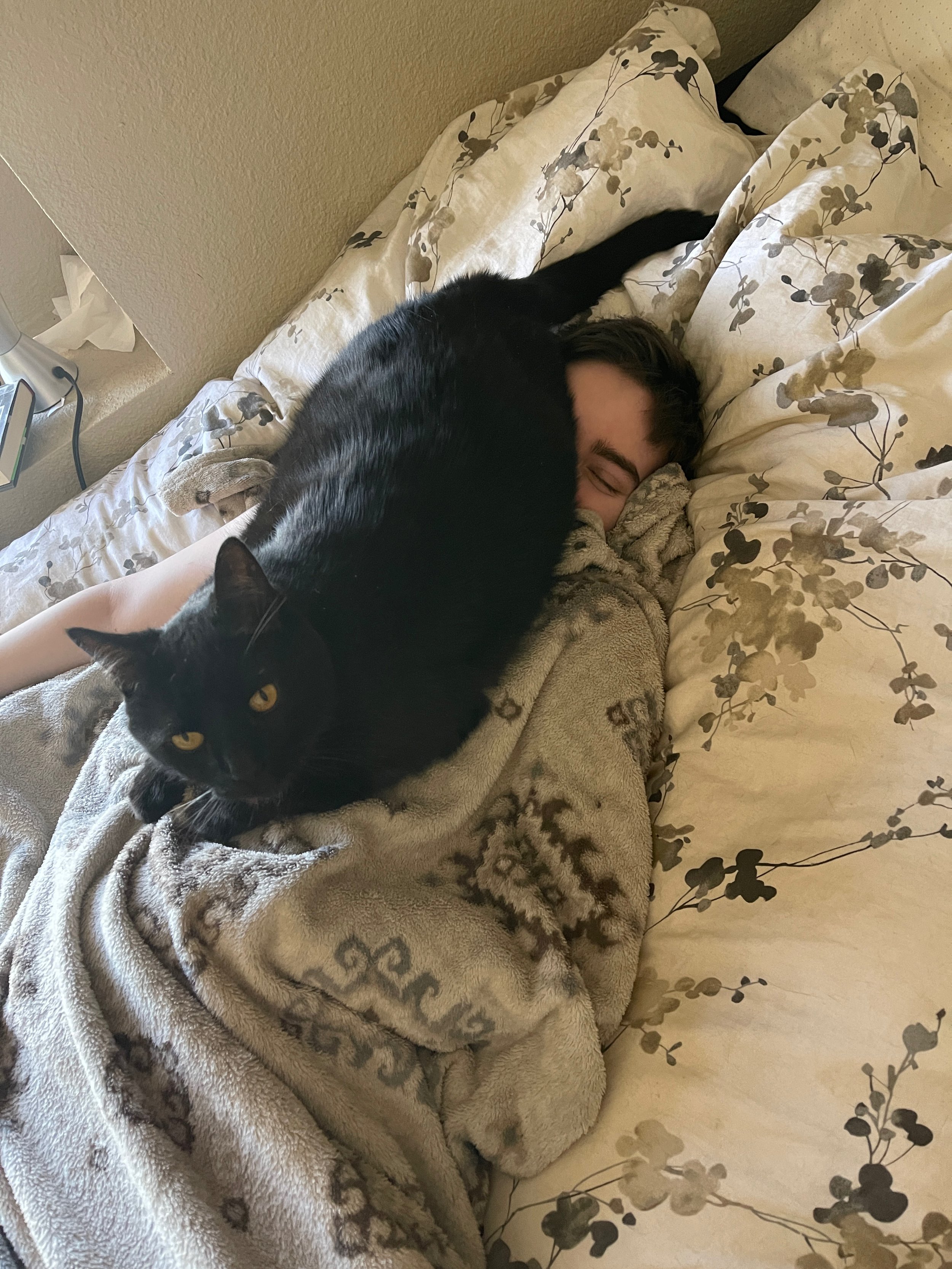 Jack sitting on Marisa's face
