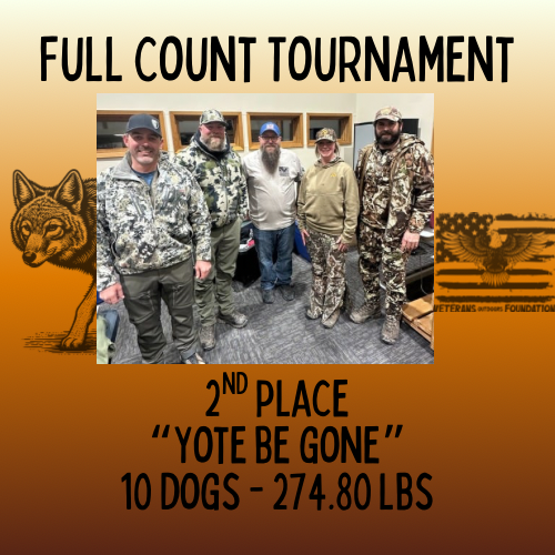 Black and Yellow Illustrative Deer Animal Logo - 5.PNG