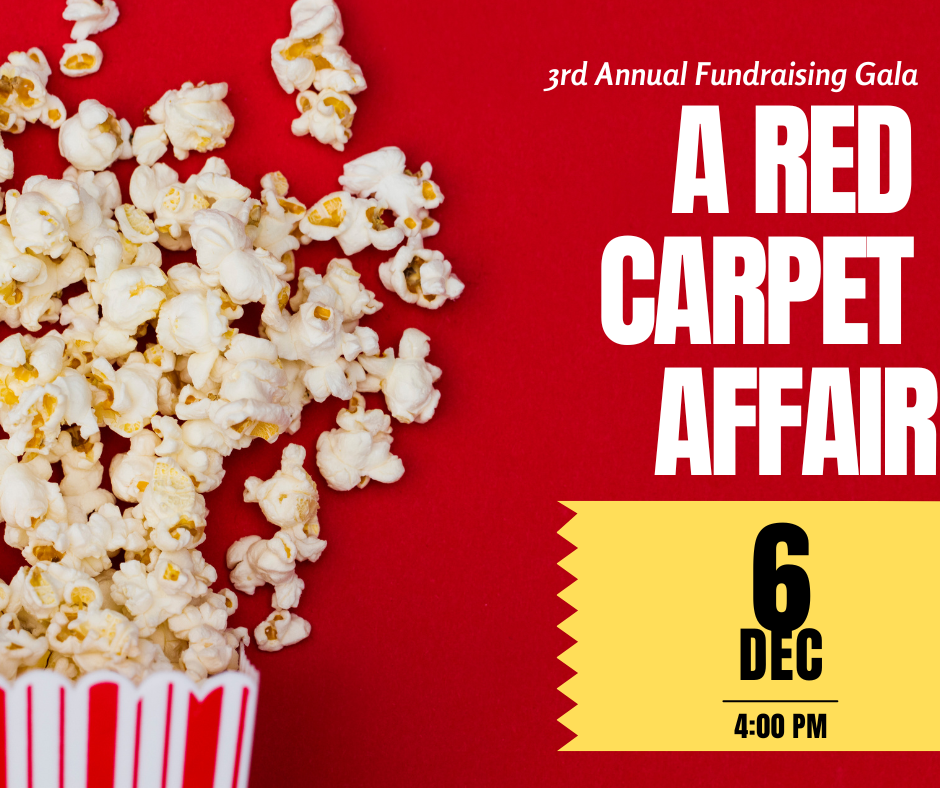 A Red Carpet Affair - 3rd Annual Fundraising Gala