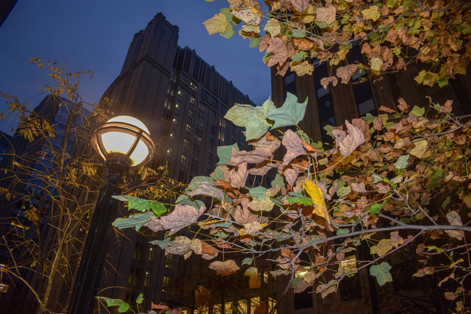 Rainy+Fall+Day+Chicago_-11.jpg