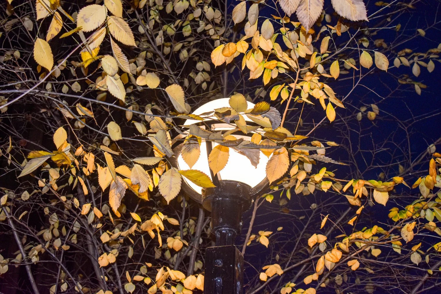 Rainy+Fall+Day+Chicago_-6.jpg