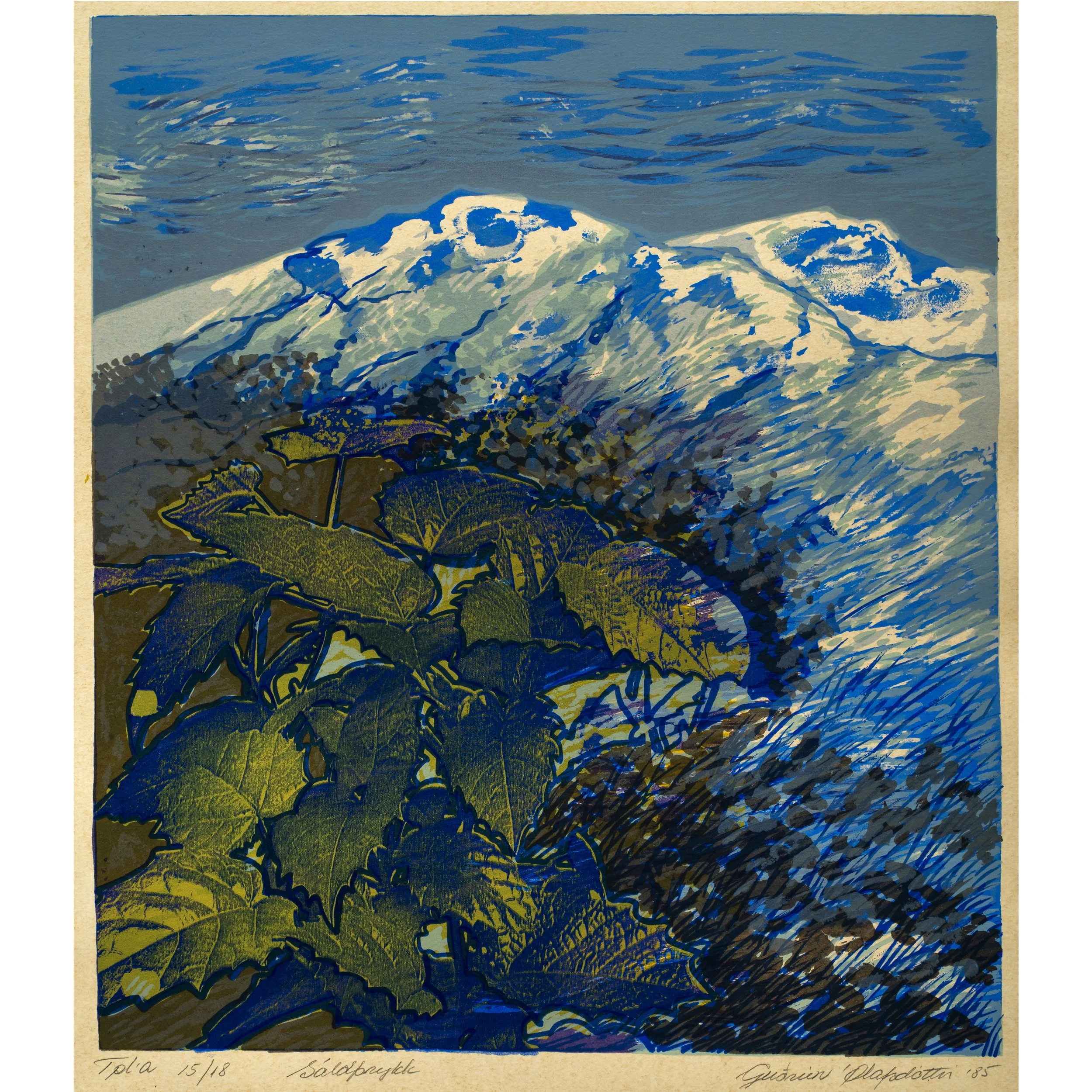 Guðrún Ólafsdóttir, Salaprykk, Icelandic Screen Print, 1985