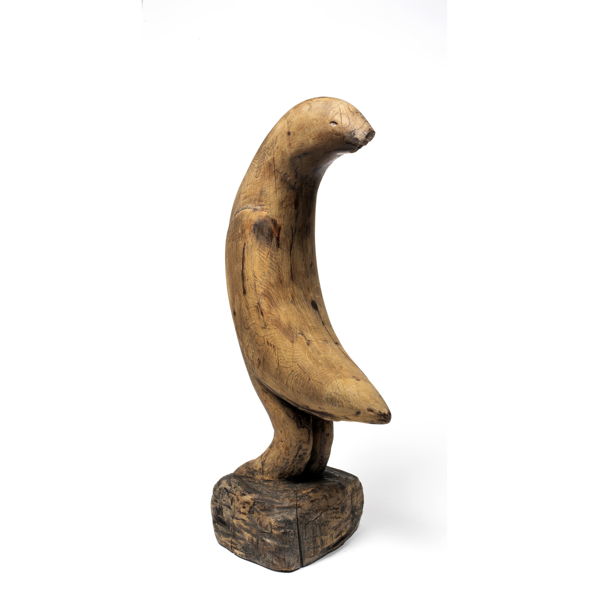bird-14a.jpg