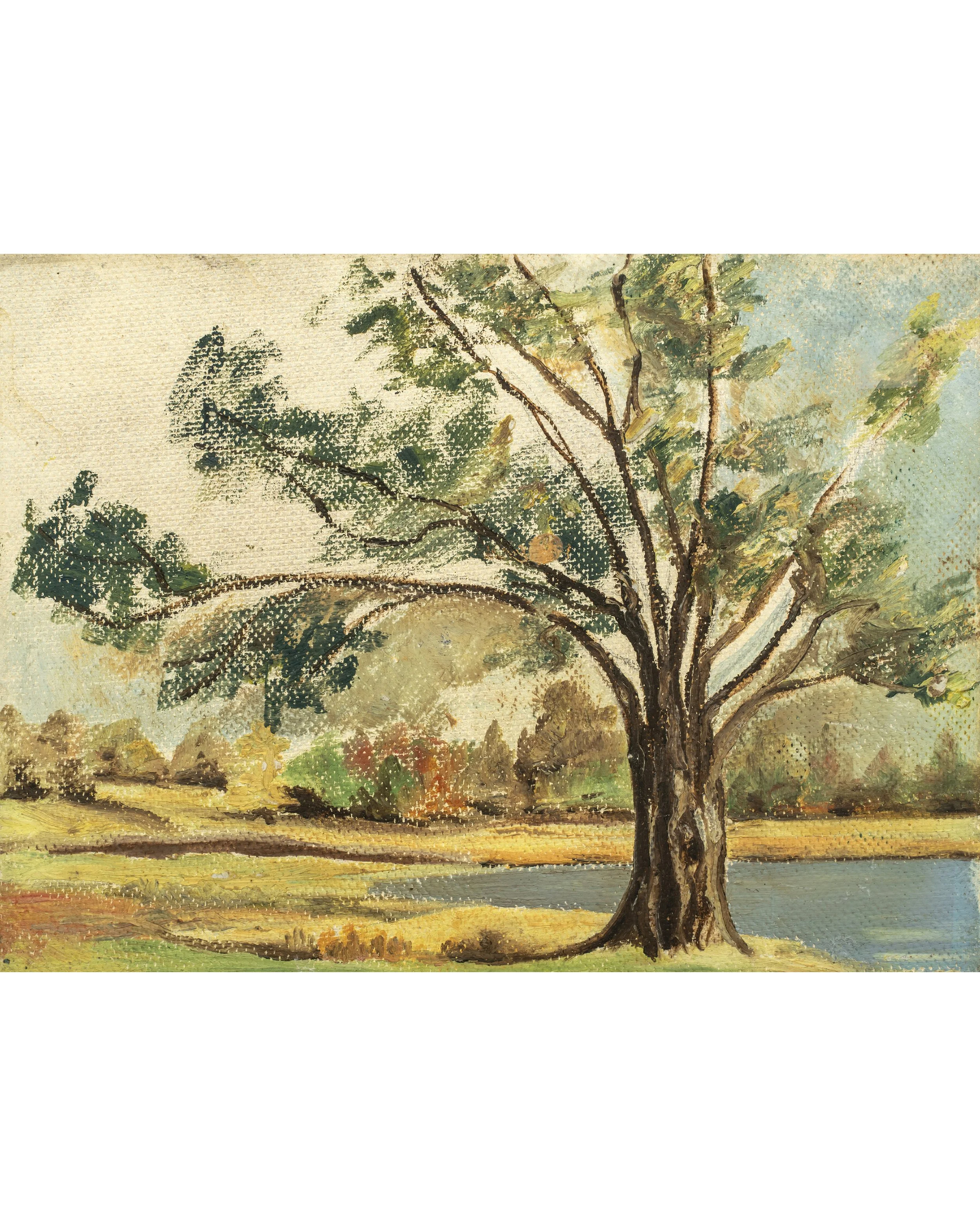 Holly Pond Herron Tree-2-0.jpg