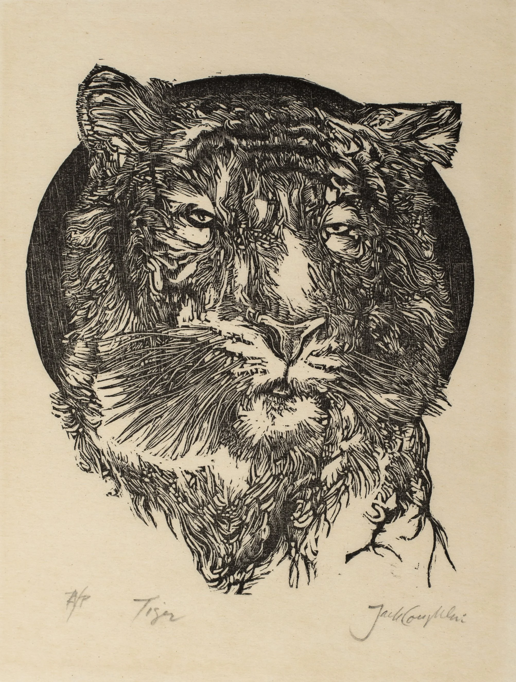 Tiger-0.jpg