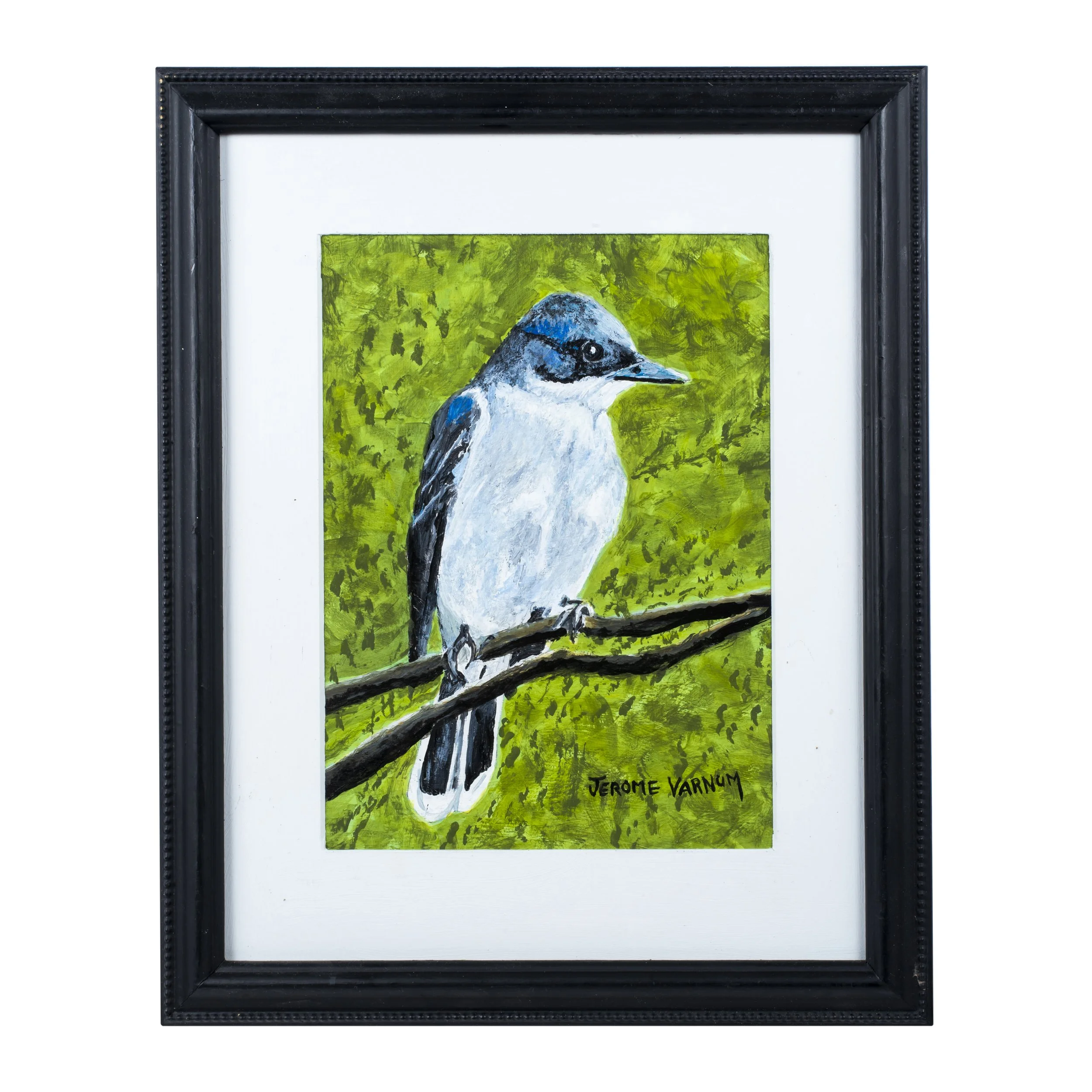 Jerome Varnum (1955-2024) Swallow