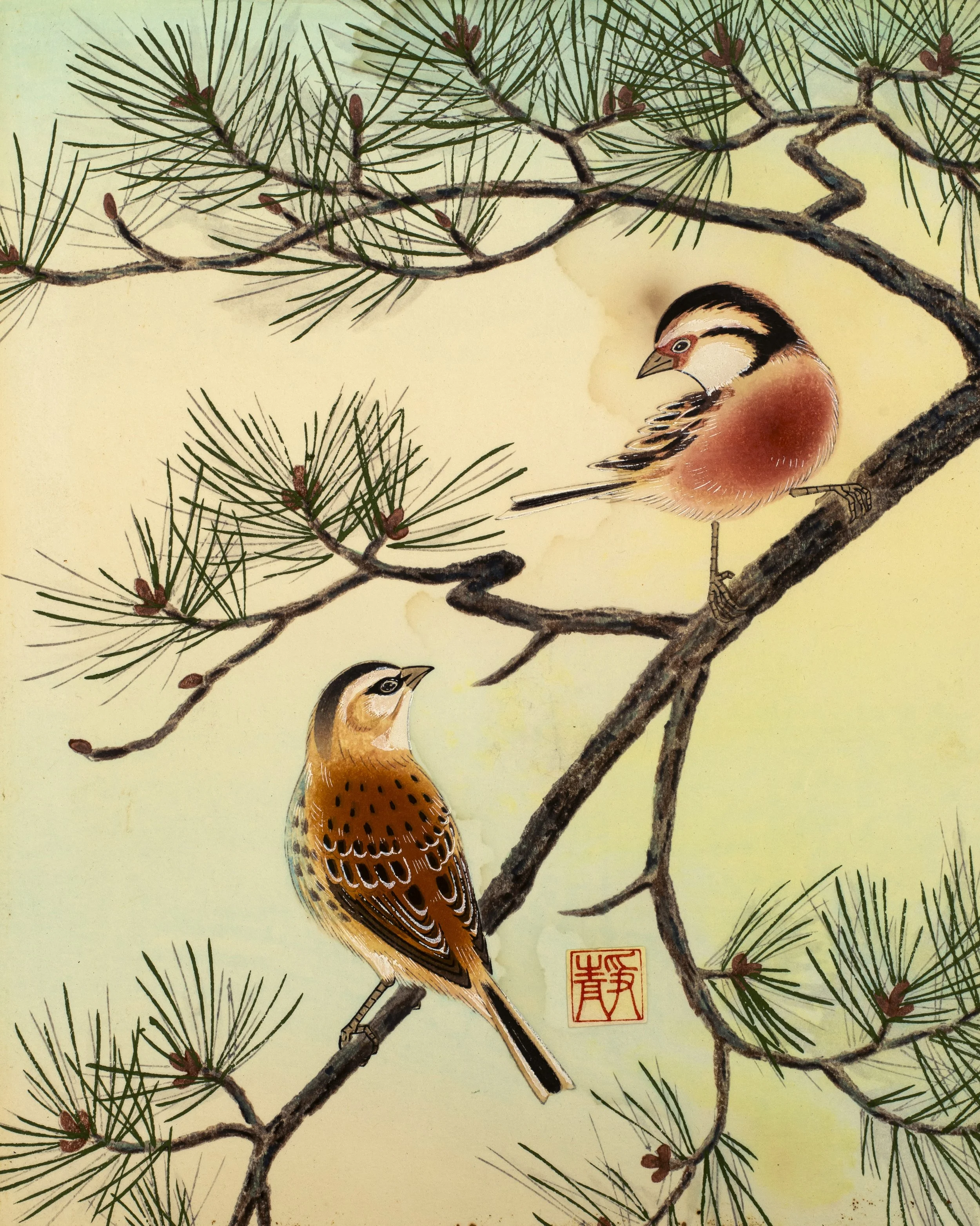 SHIZUO ASHIKAGA -8-0.jpg