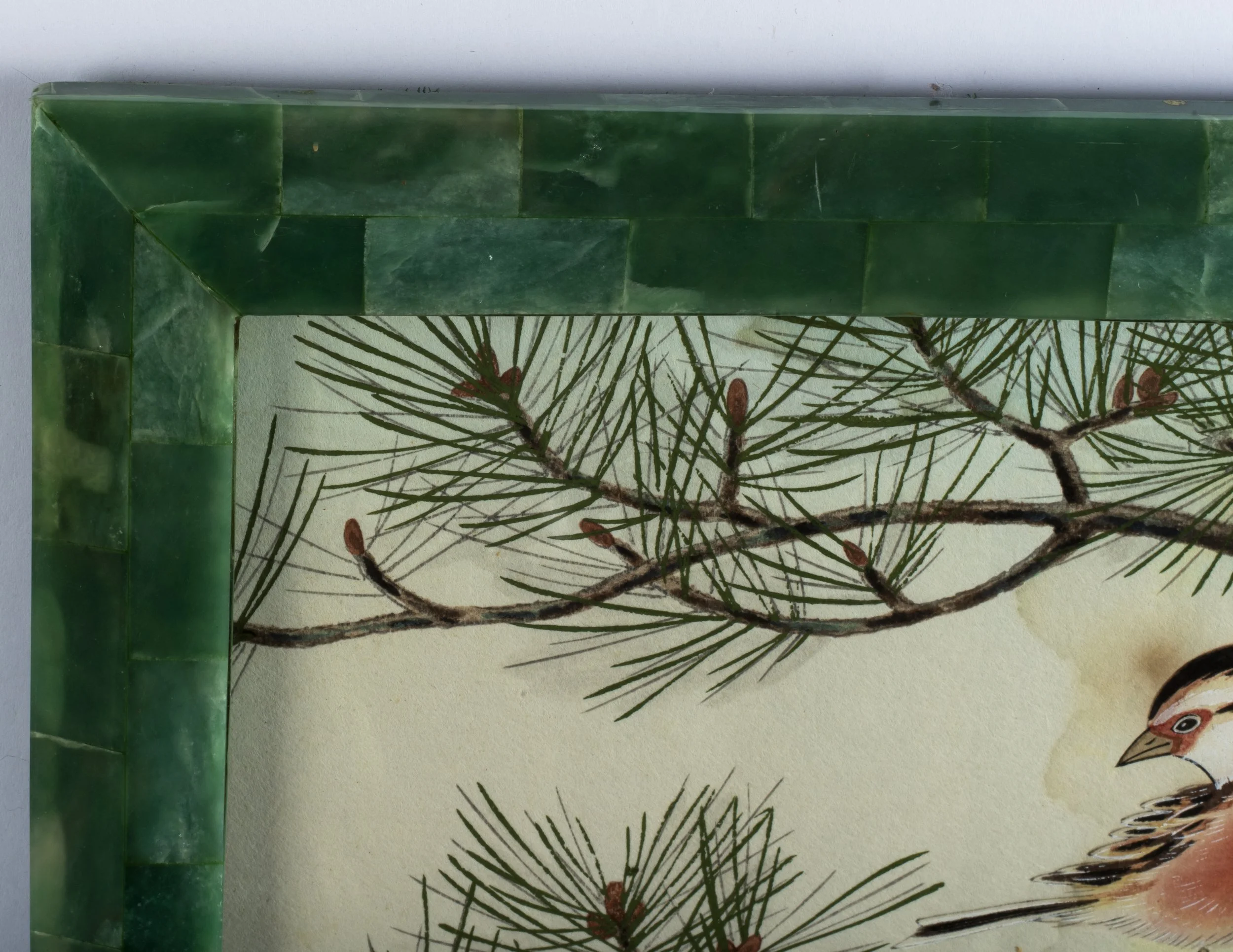 SHIZUO ASHIKAGA .jpg