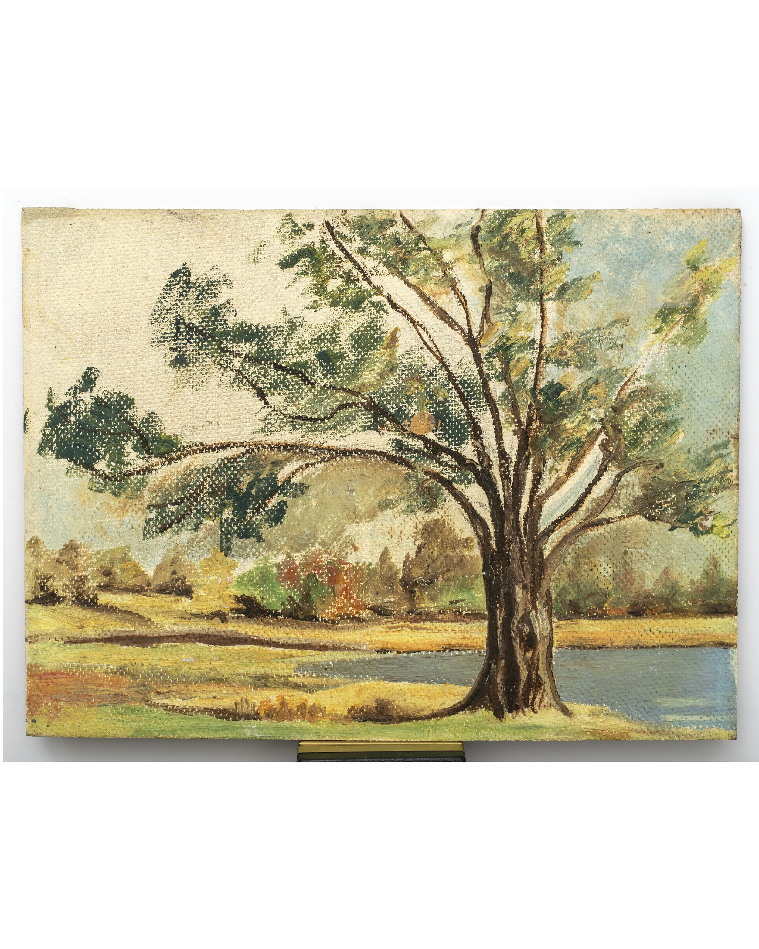 Holly Pond Herron Tree-2.jpg