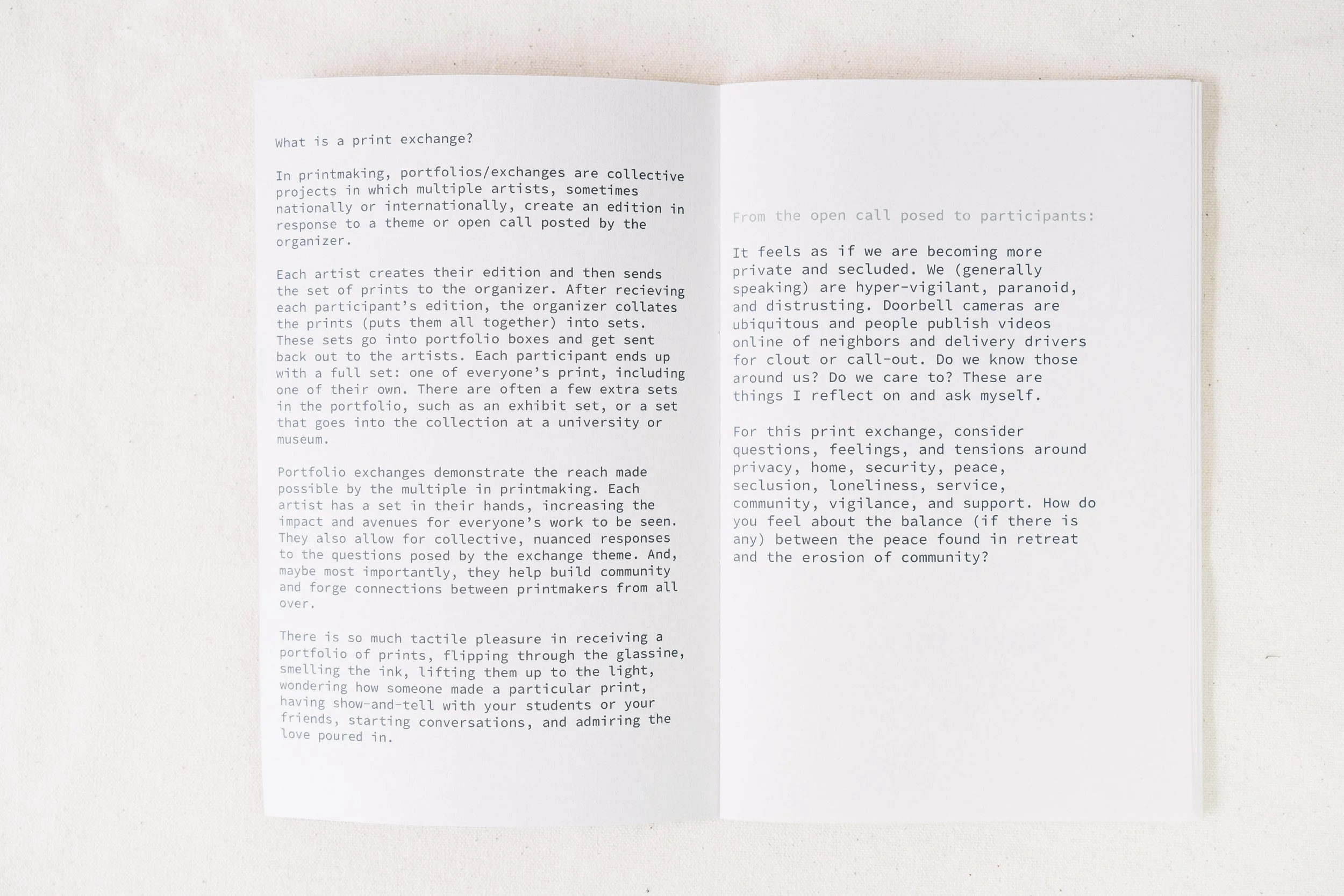 Inside view of the zines I made for the exhibit