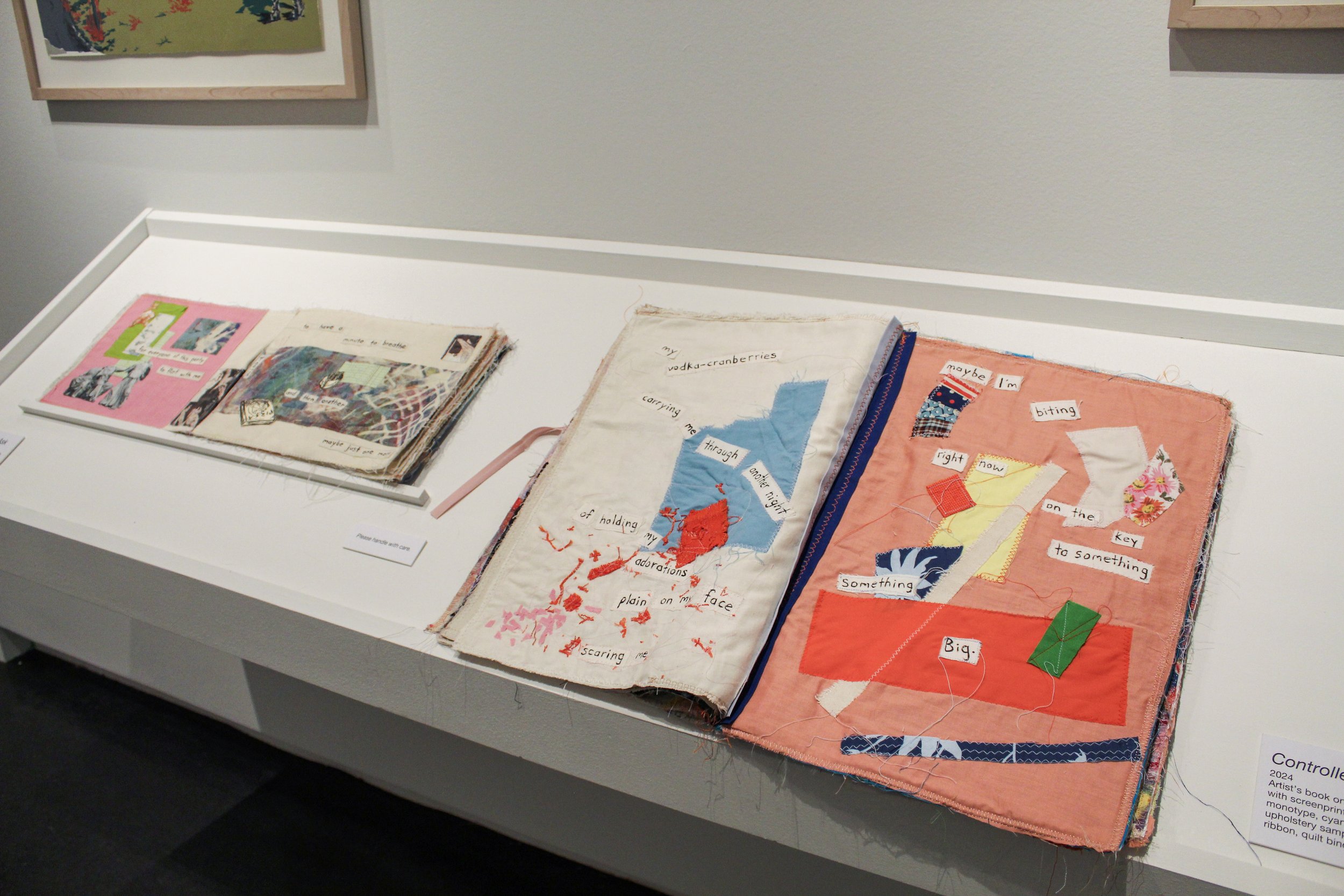 installation view of artist's books: Too Much to Ask and Controlled Burn