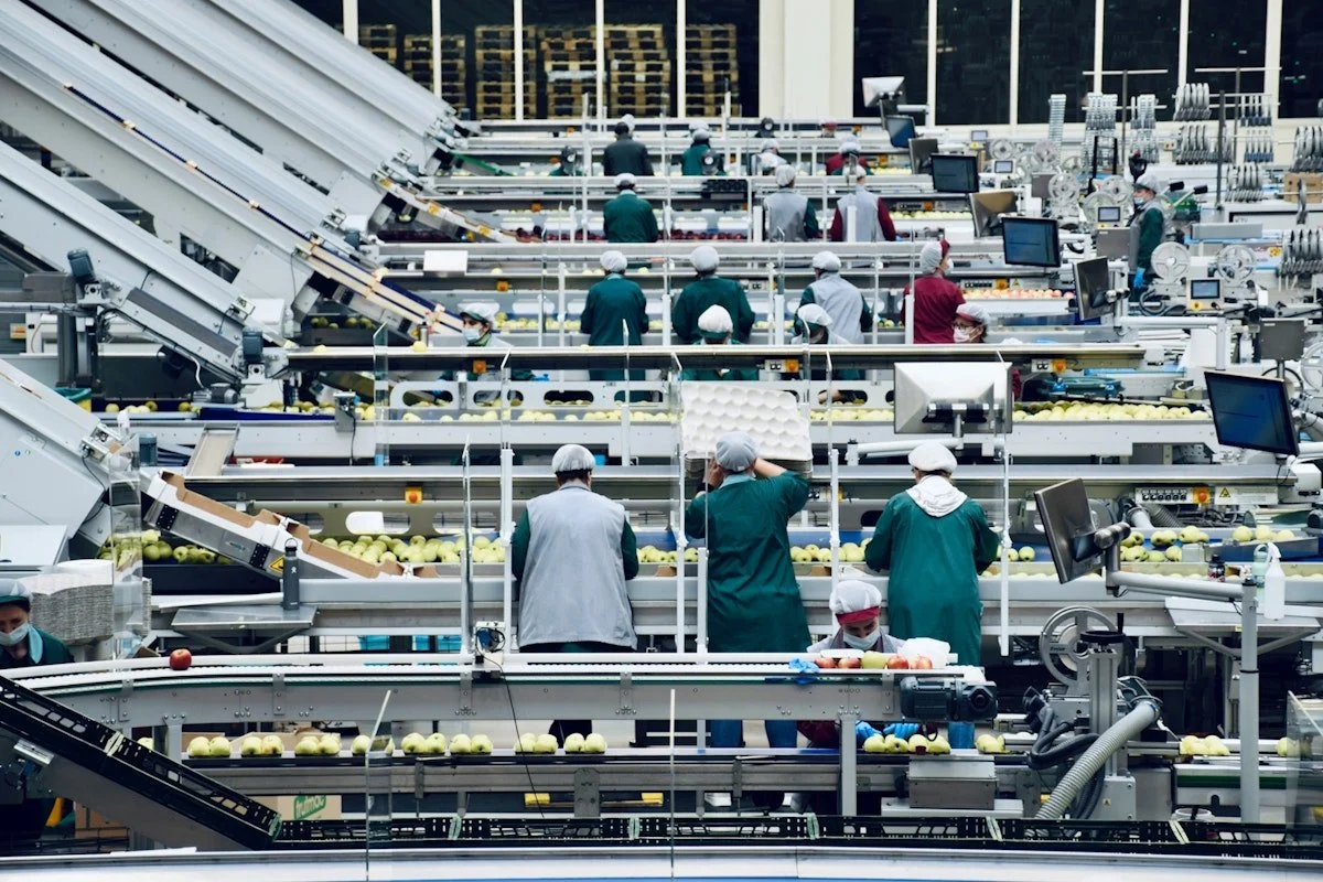 Supply chain ethics and modern slavery: what you need to know
