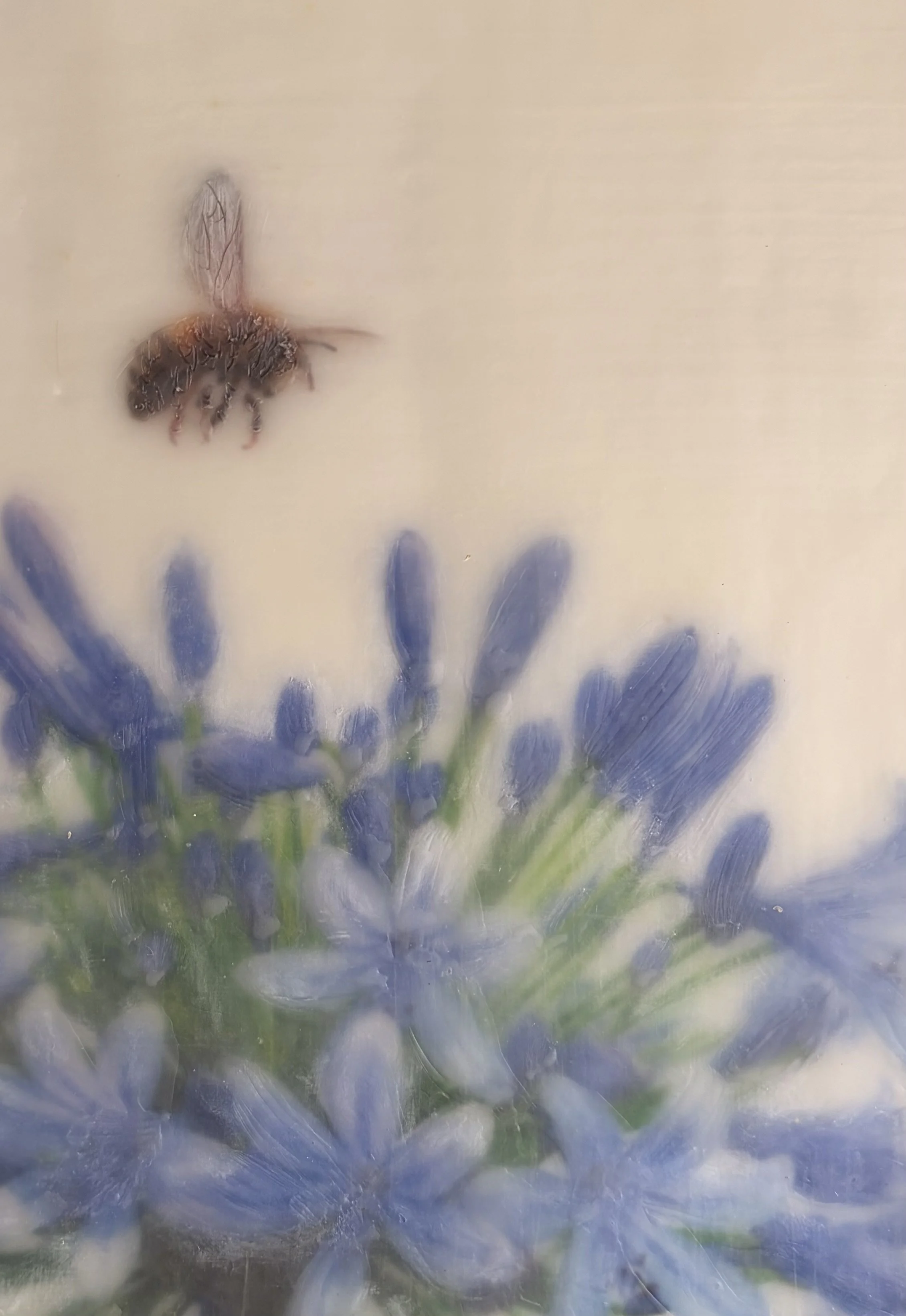 Original encaustic wax artwork featuring a softly rendered honeybee hovering above vibrant blue agapanthus flowers. Dreamy botanical artwork with luminous beeswax layers, framed